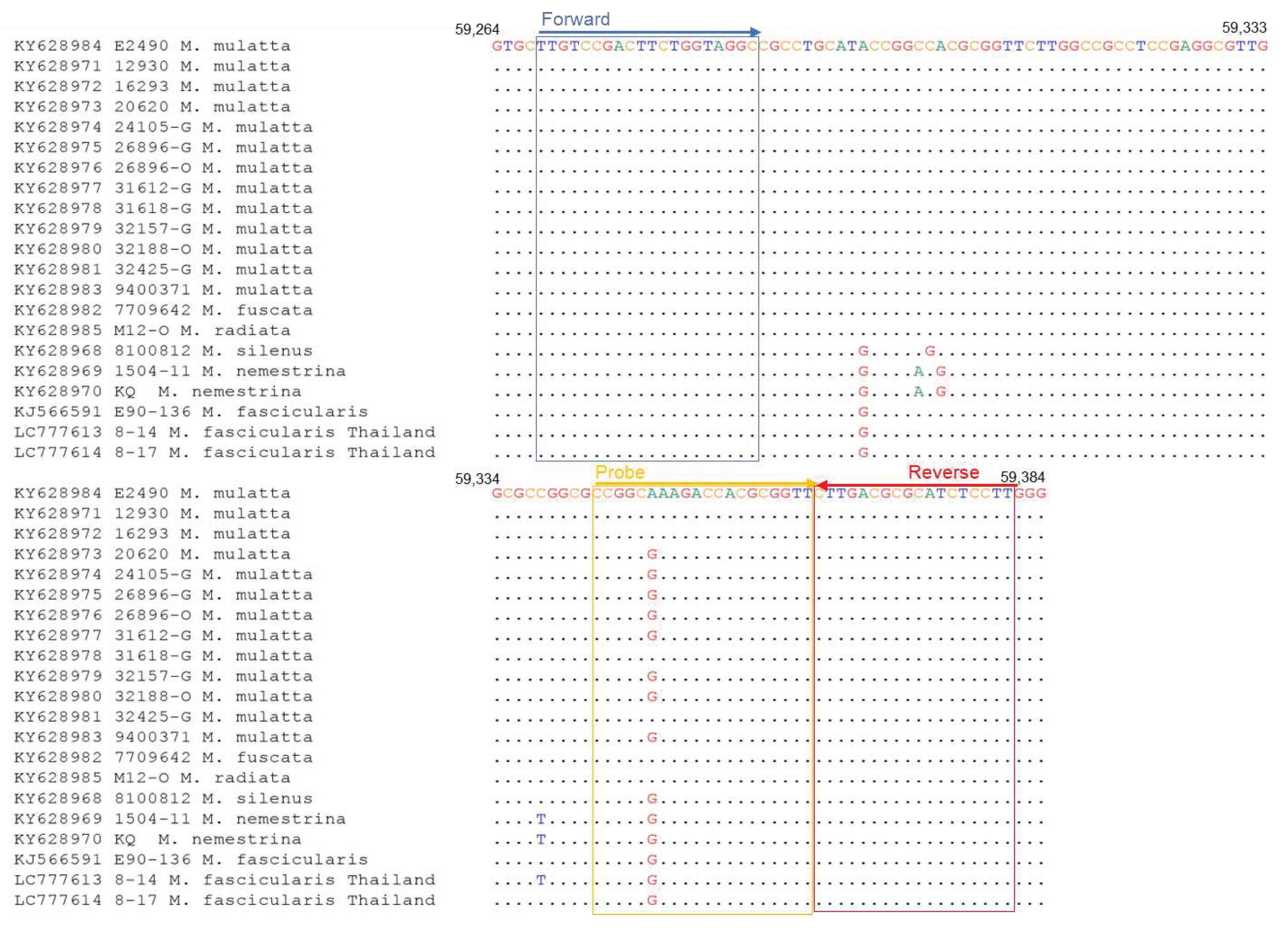 Preprints 85955 g002