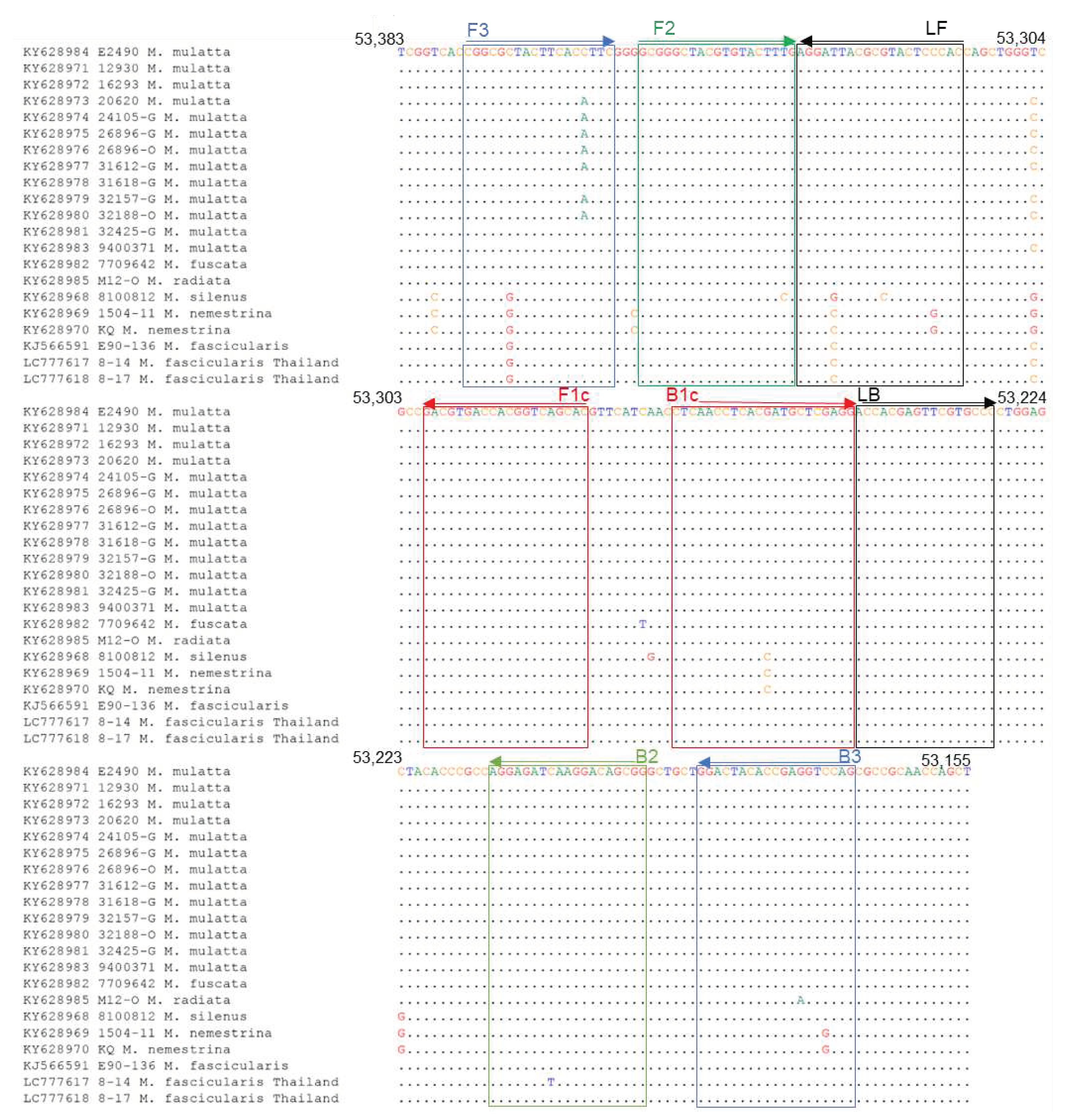 Preprints 85955 g003