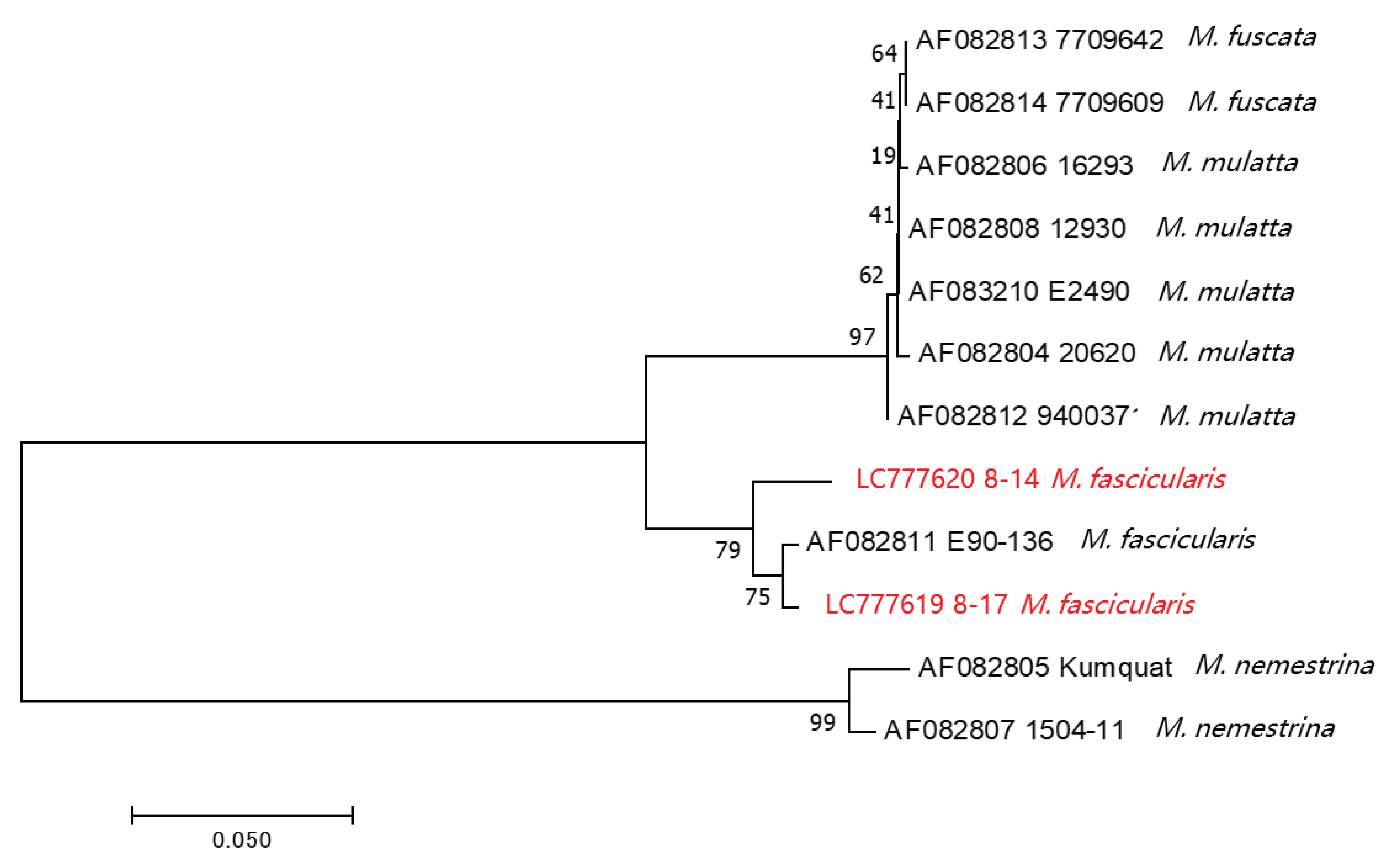 Preprints 85955 g004