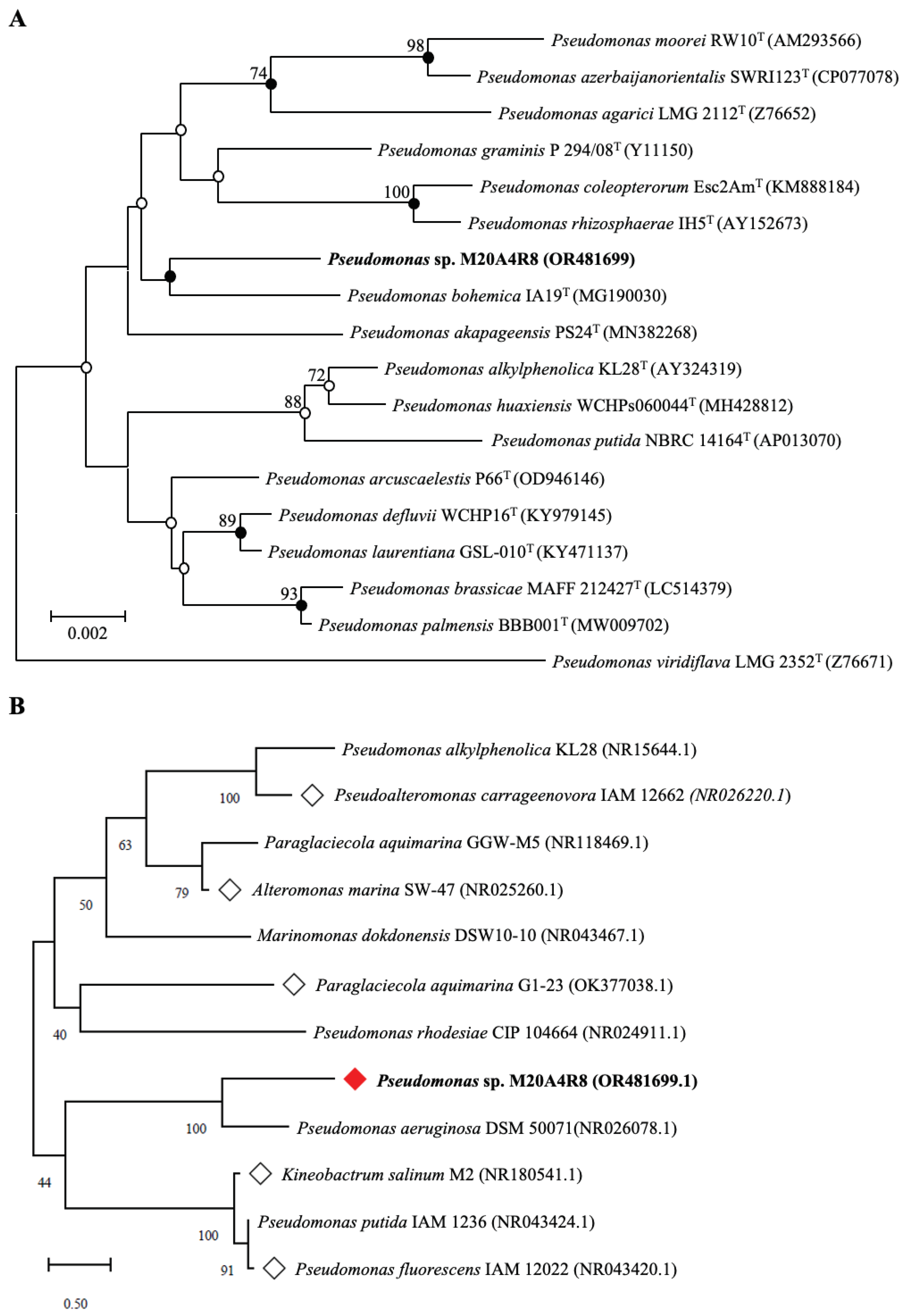 Preprints 100687 g001