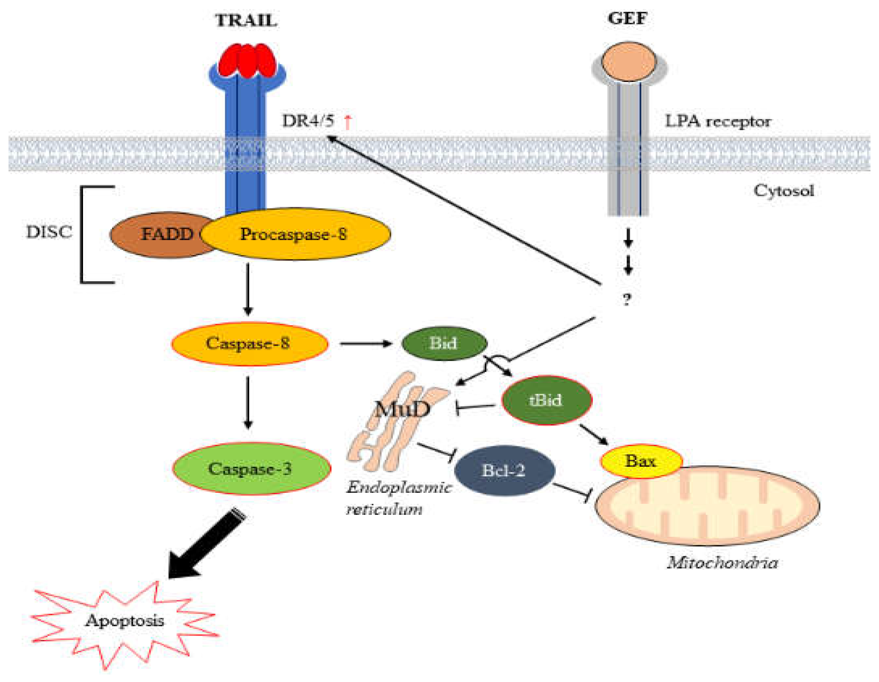 Preprints 106970 g007