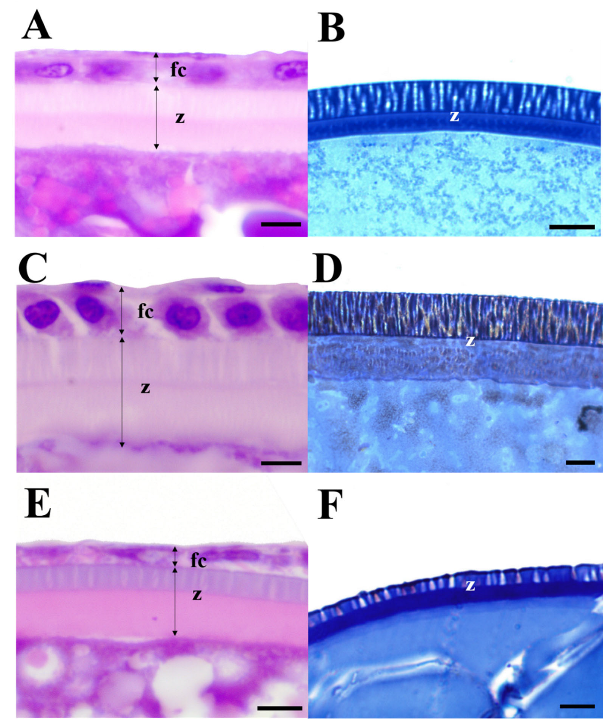 Preprints 105138 g001