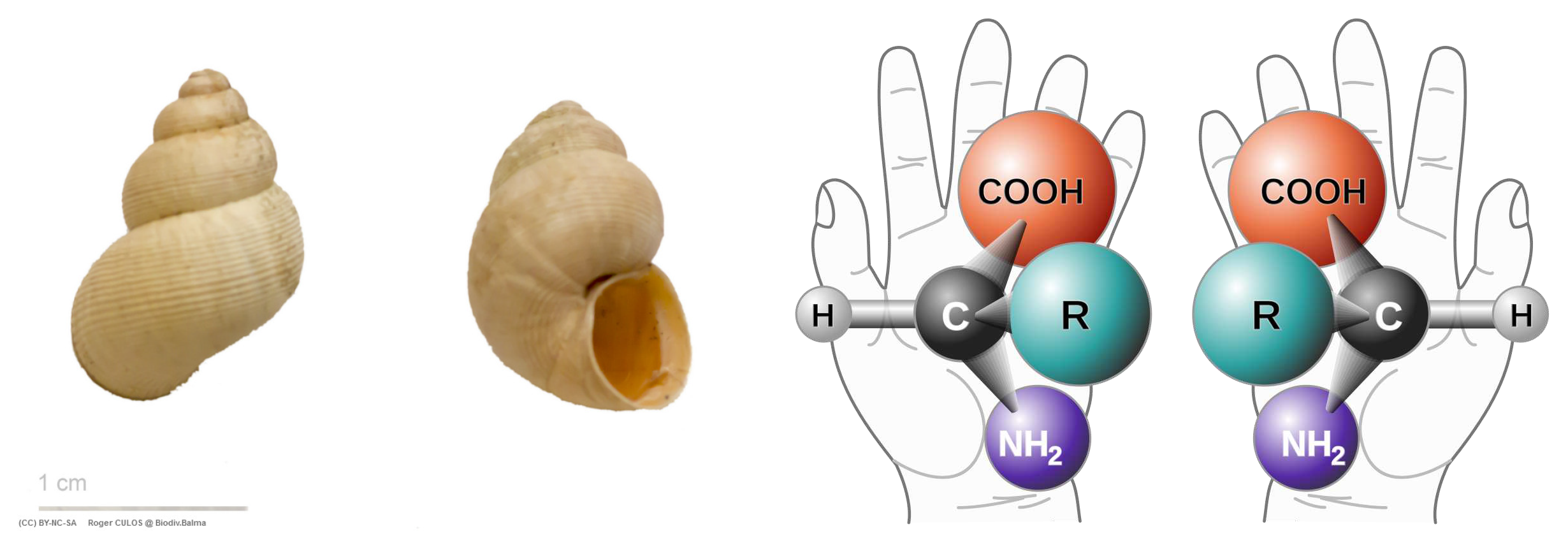 Preprints 96107 g003