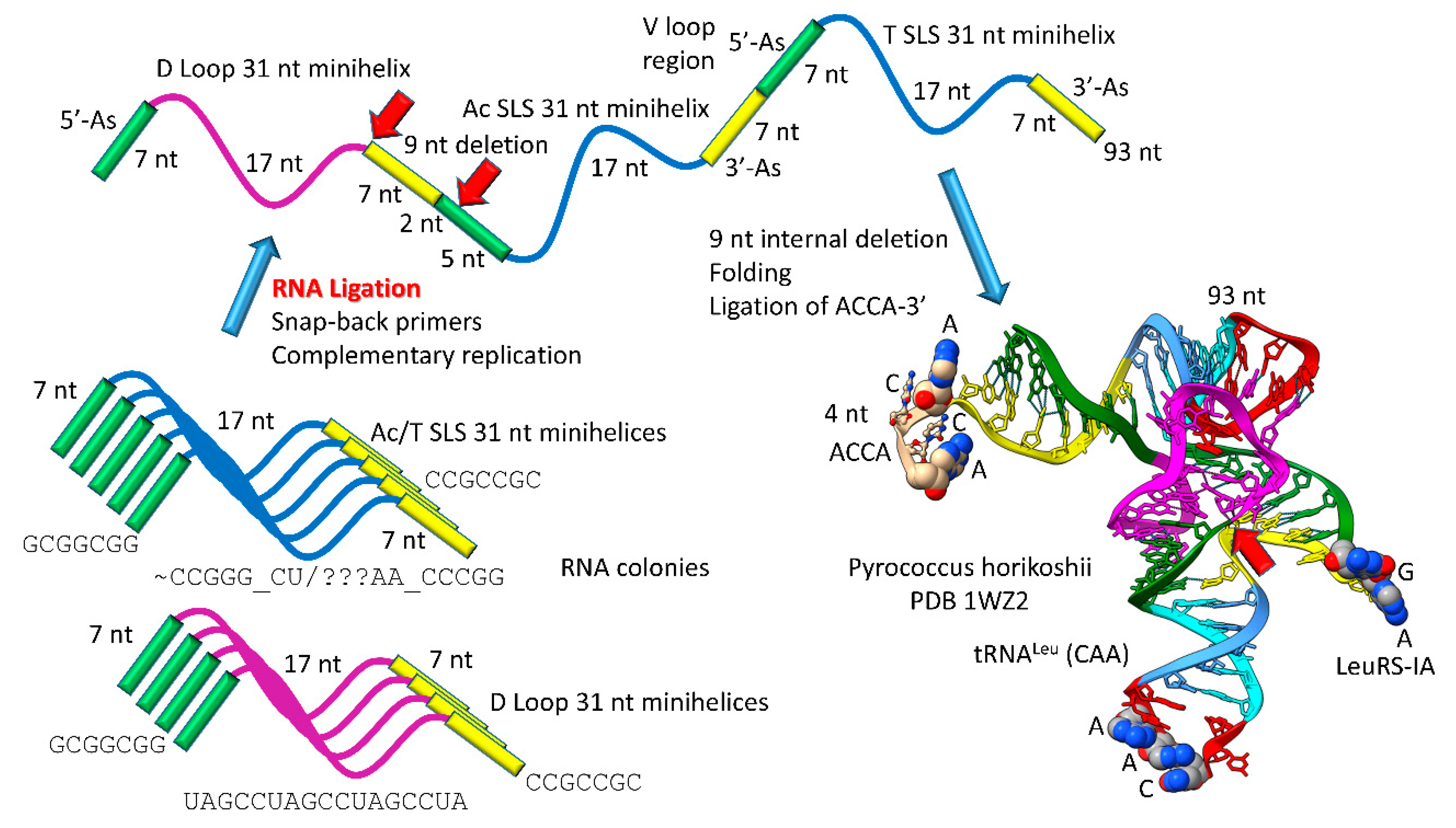 Preprints 87761 g001