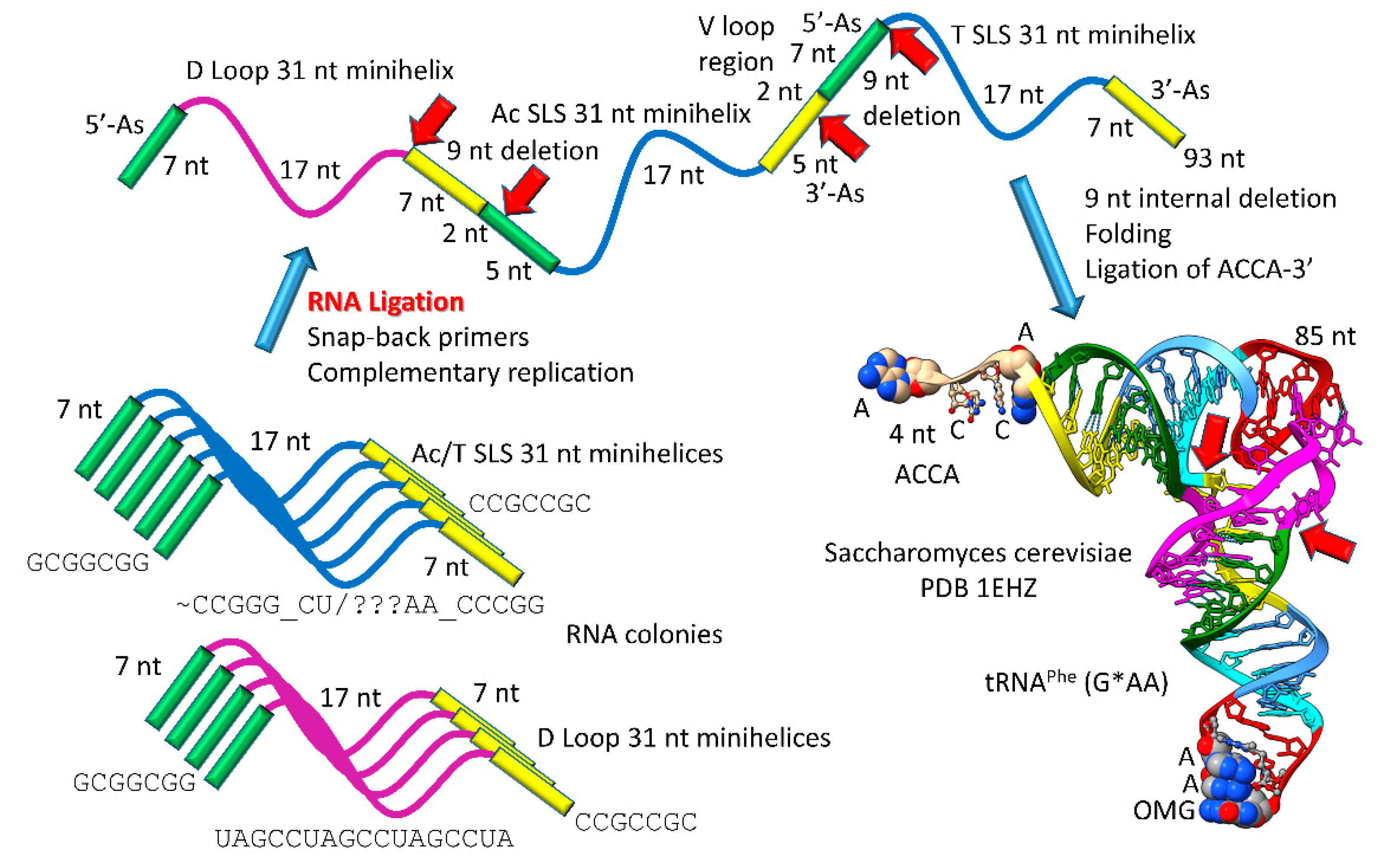 Preprints 87761 g003