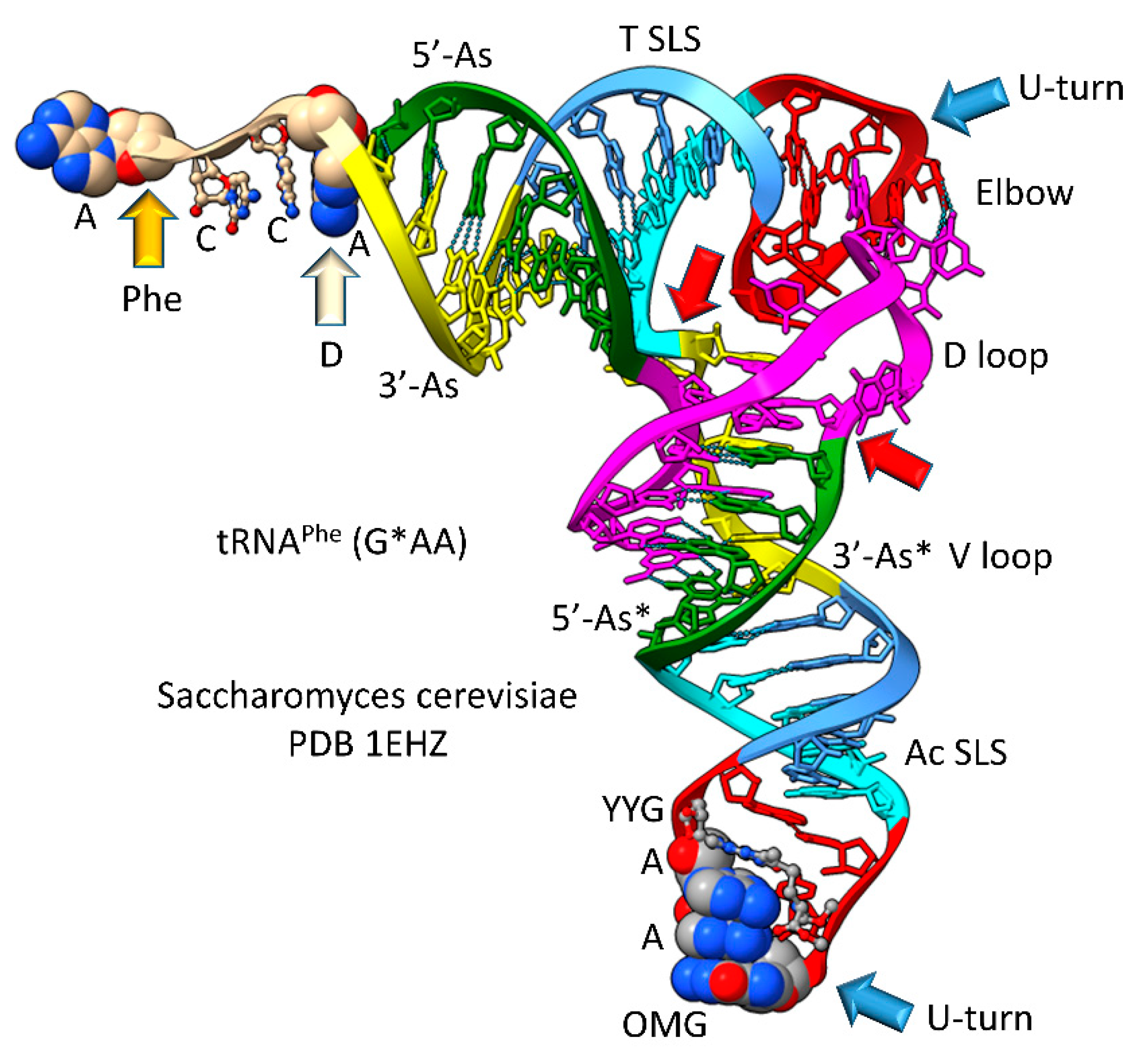 Preprints 87761 g004