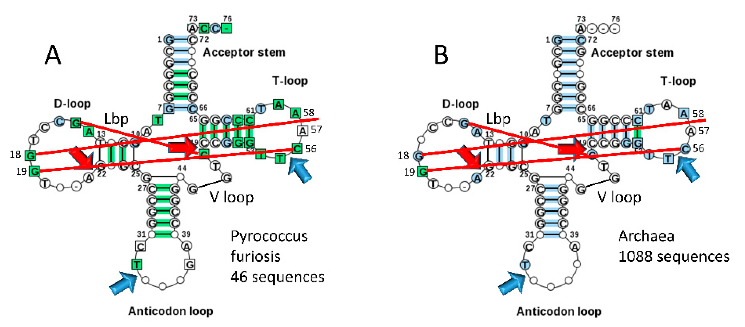 Preprints 87761 g006