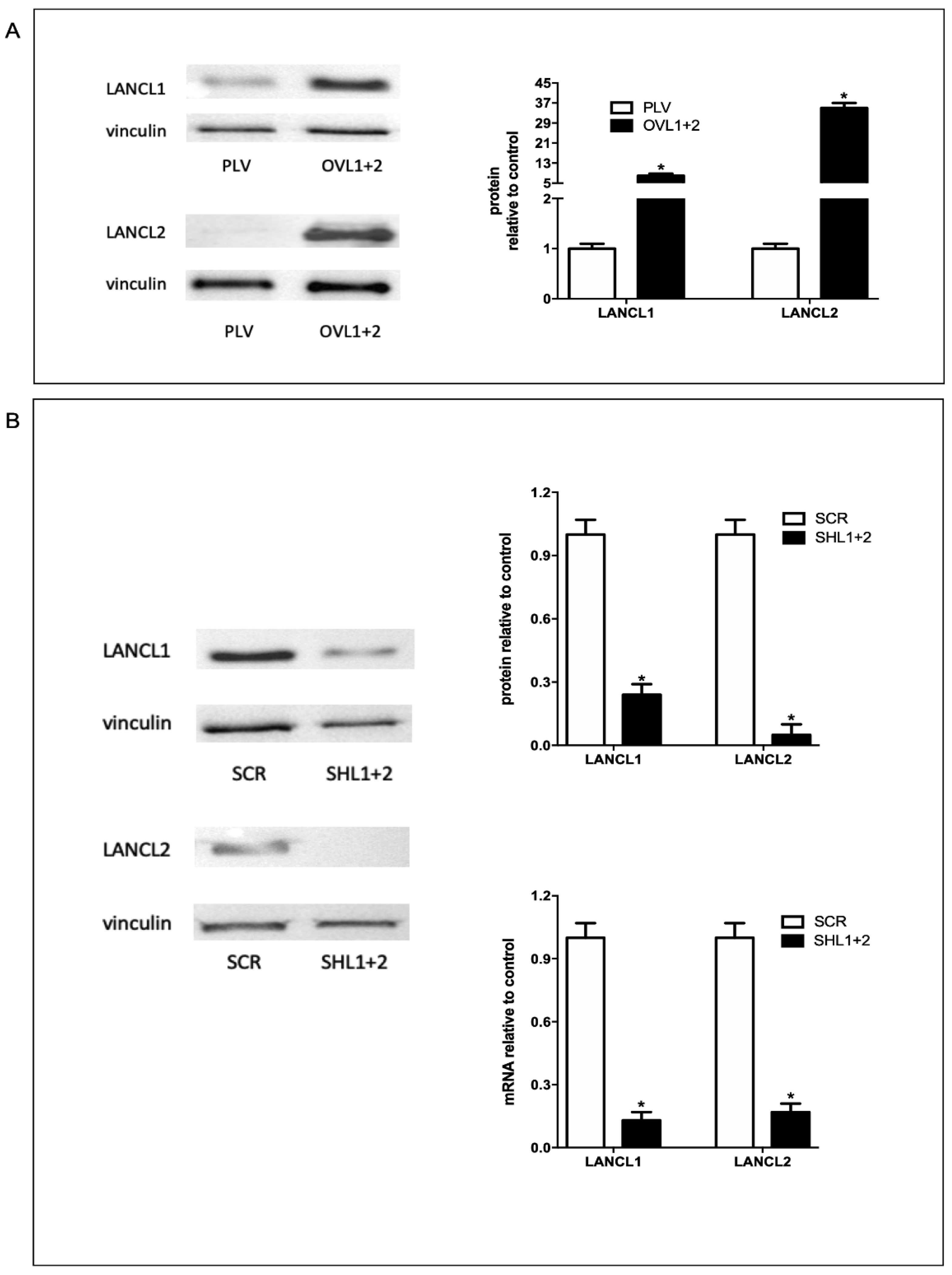 Preprints 112591 g001