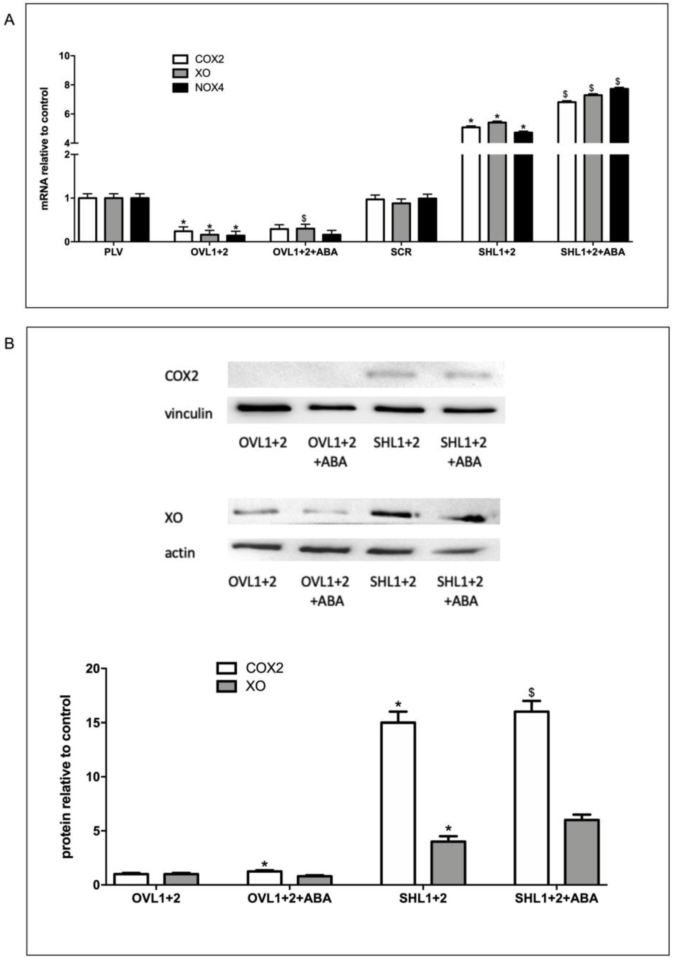 Preprints 112591 g002