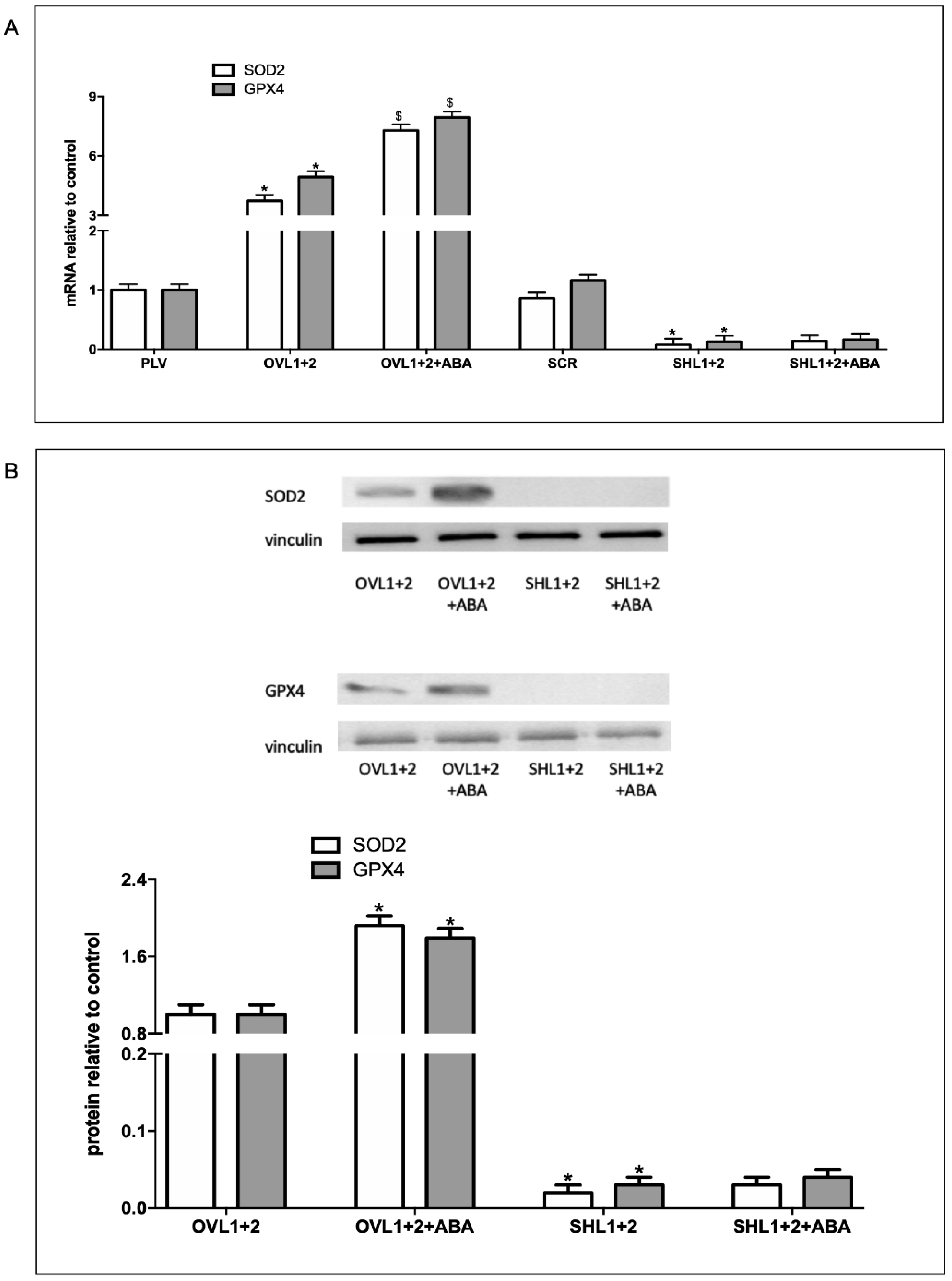 Preprints 112591 g003