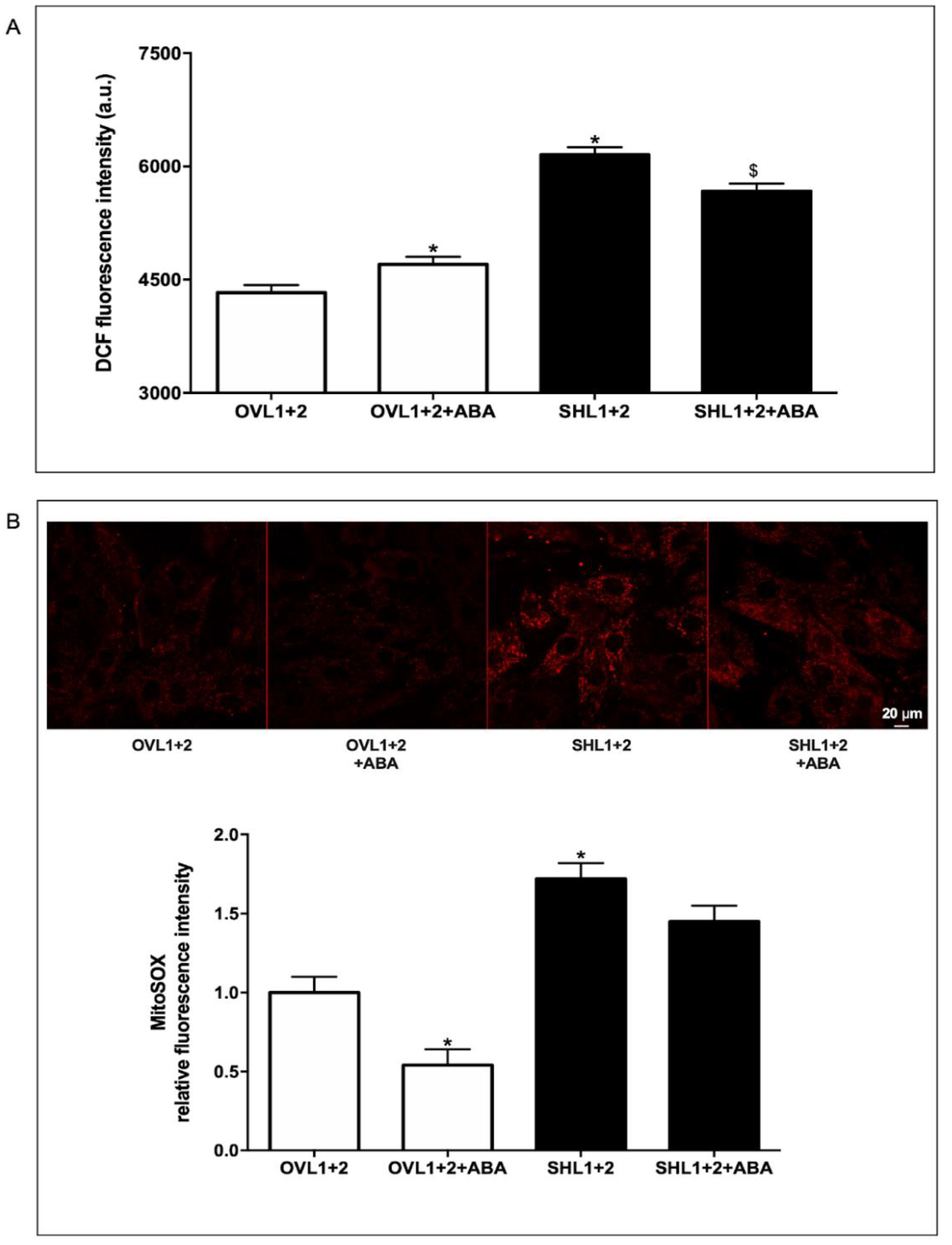 Preprints 112591 g004