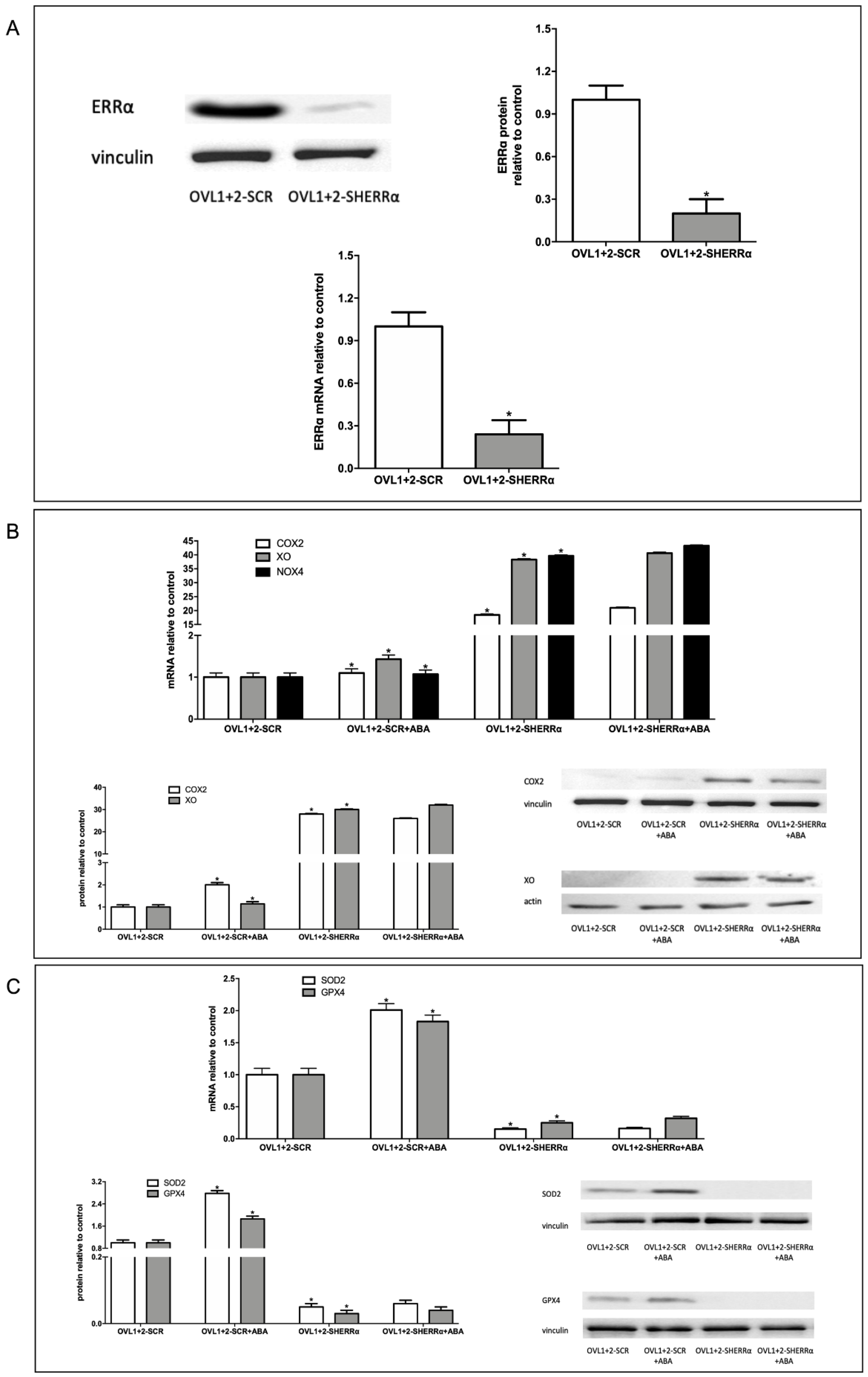 Preprints 112591 g005