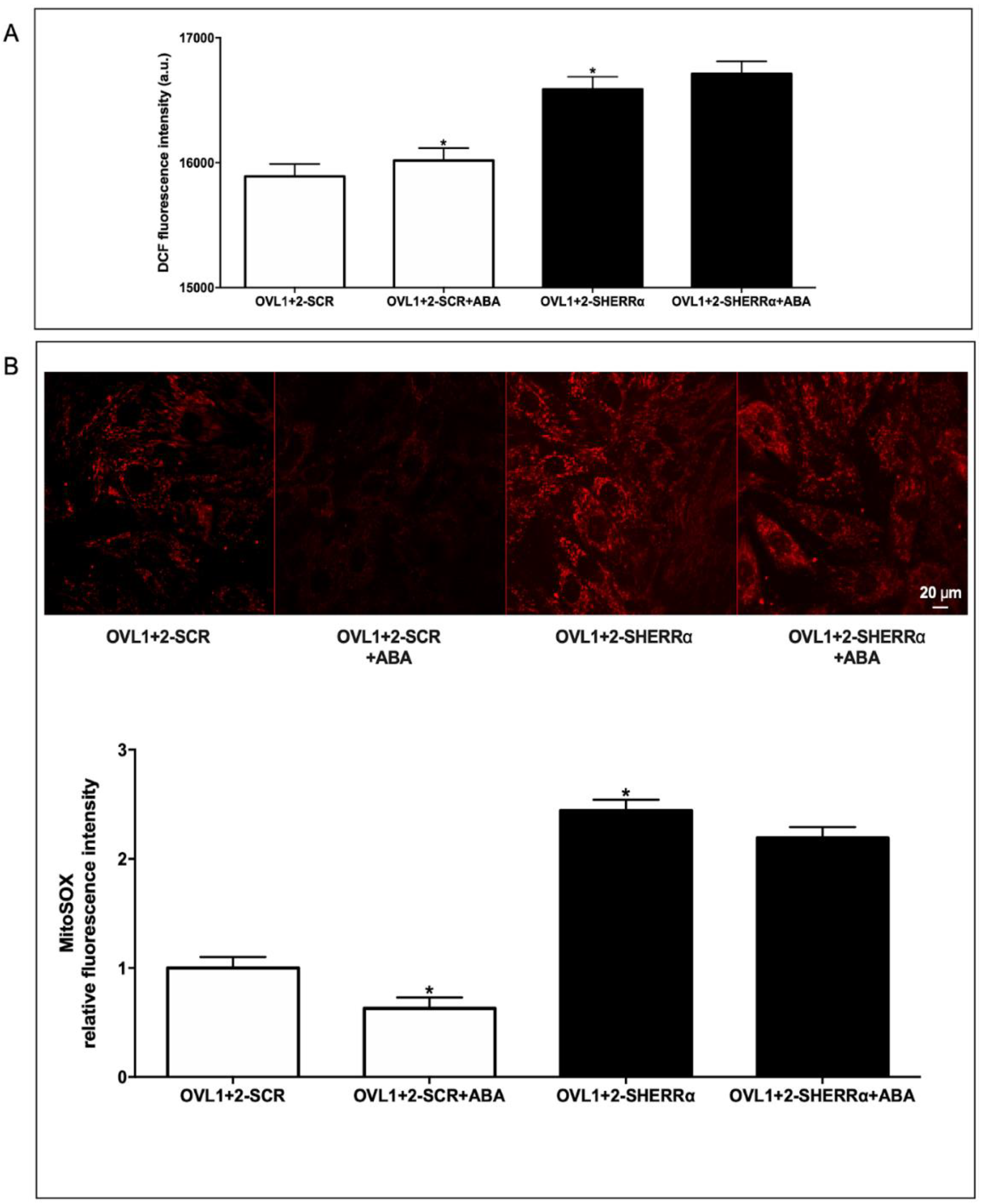 Preprints 112591 g006