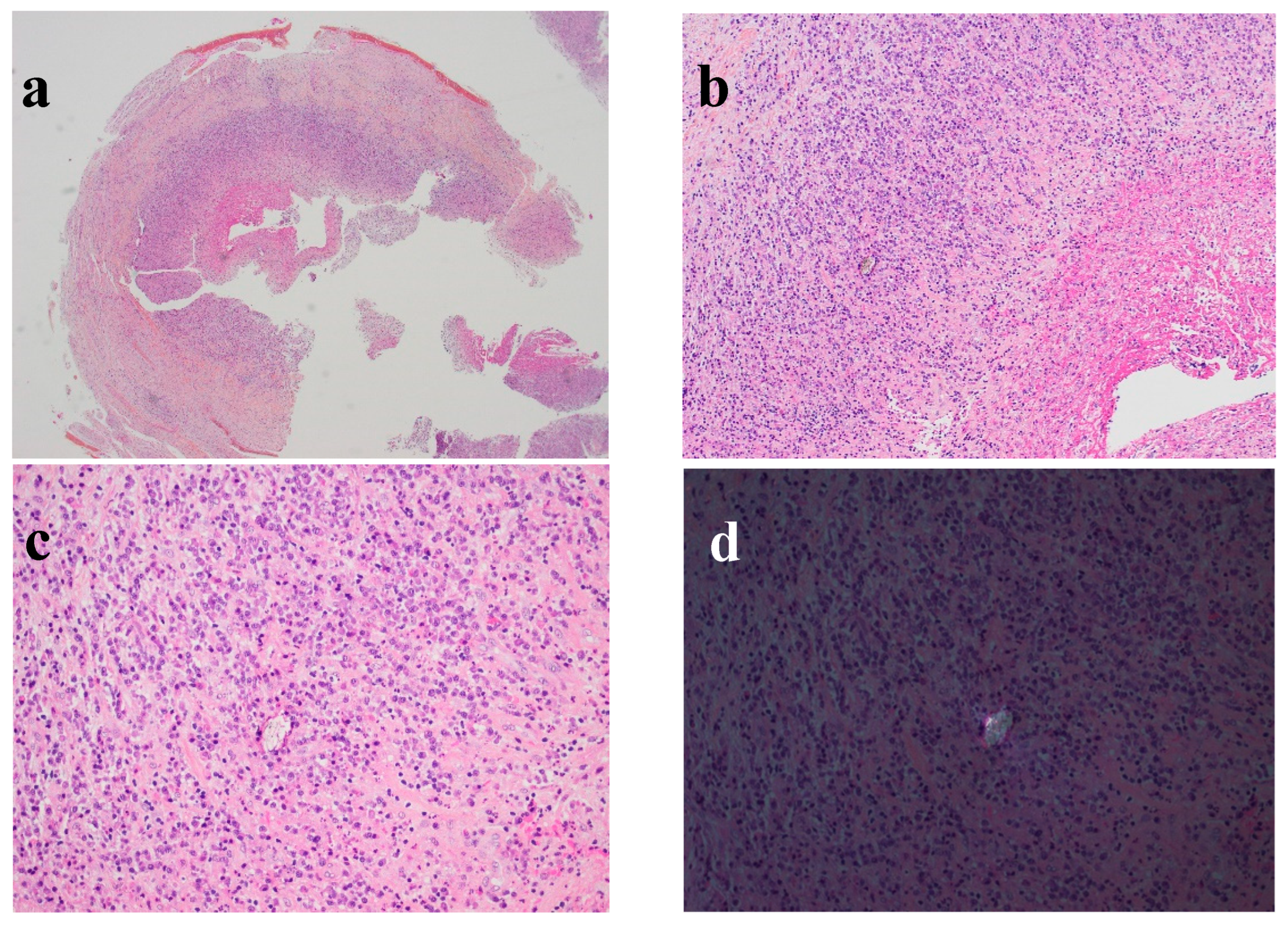 Preprints 97328 g003