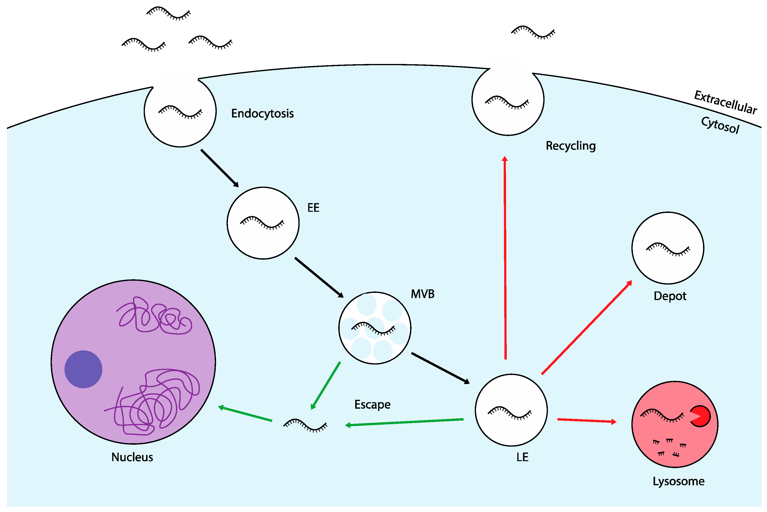 Preprints 137456 g001