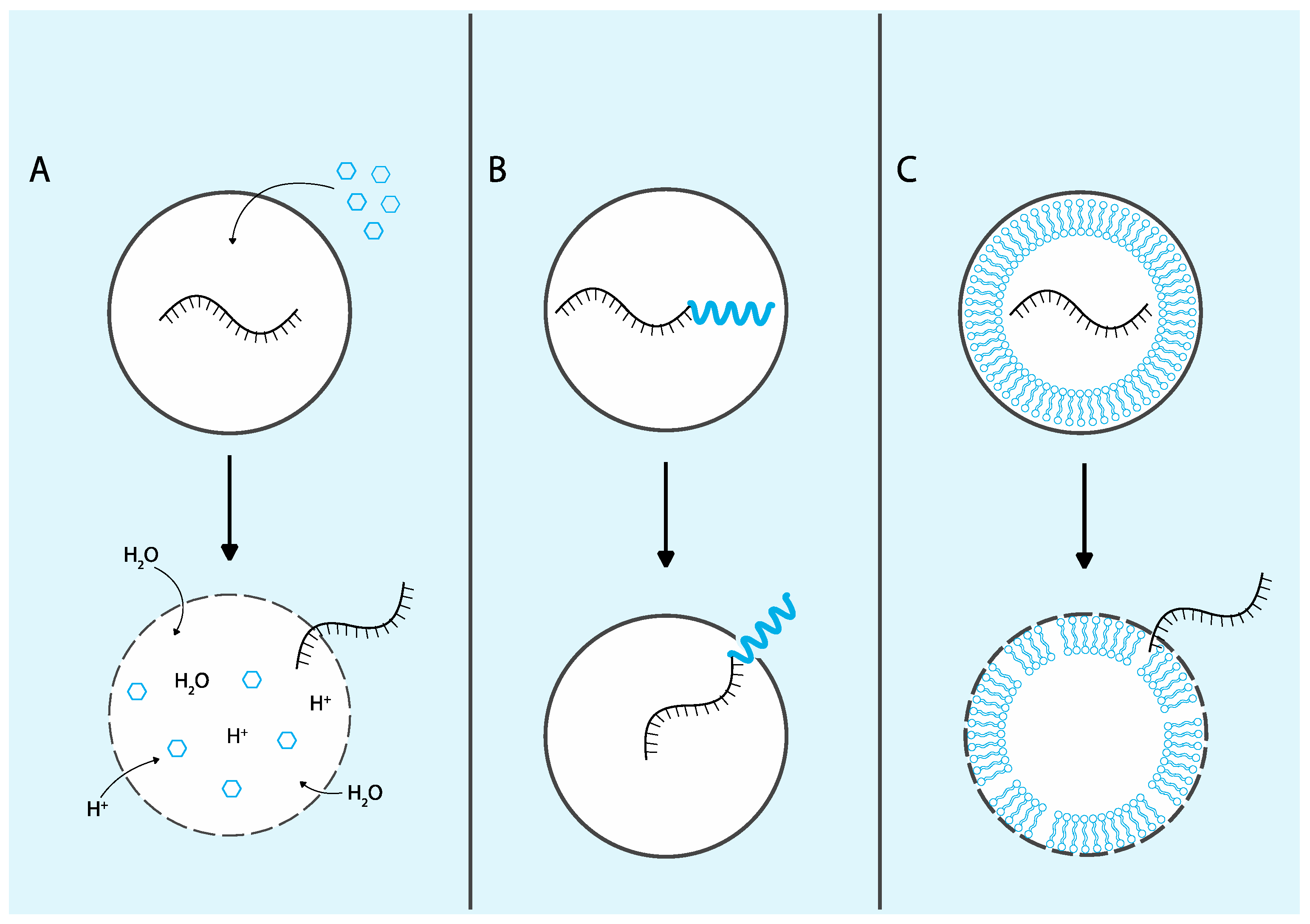 Preprints 137456 g002