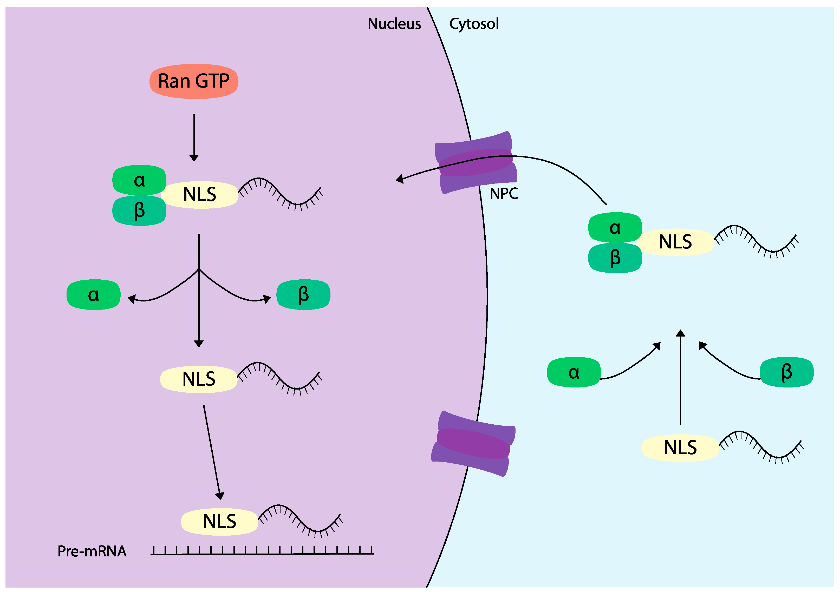 Preprints 137456 g004