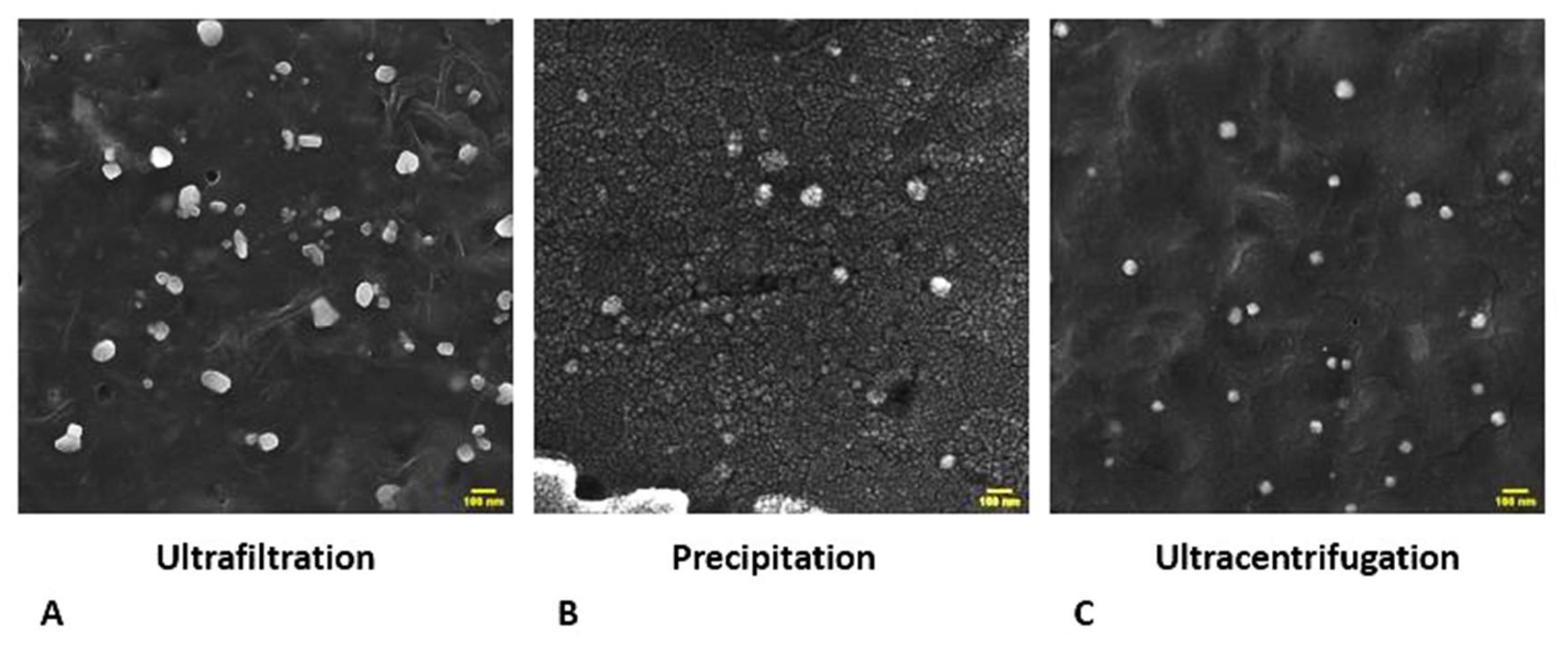 Preprints 82531 g001