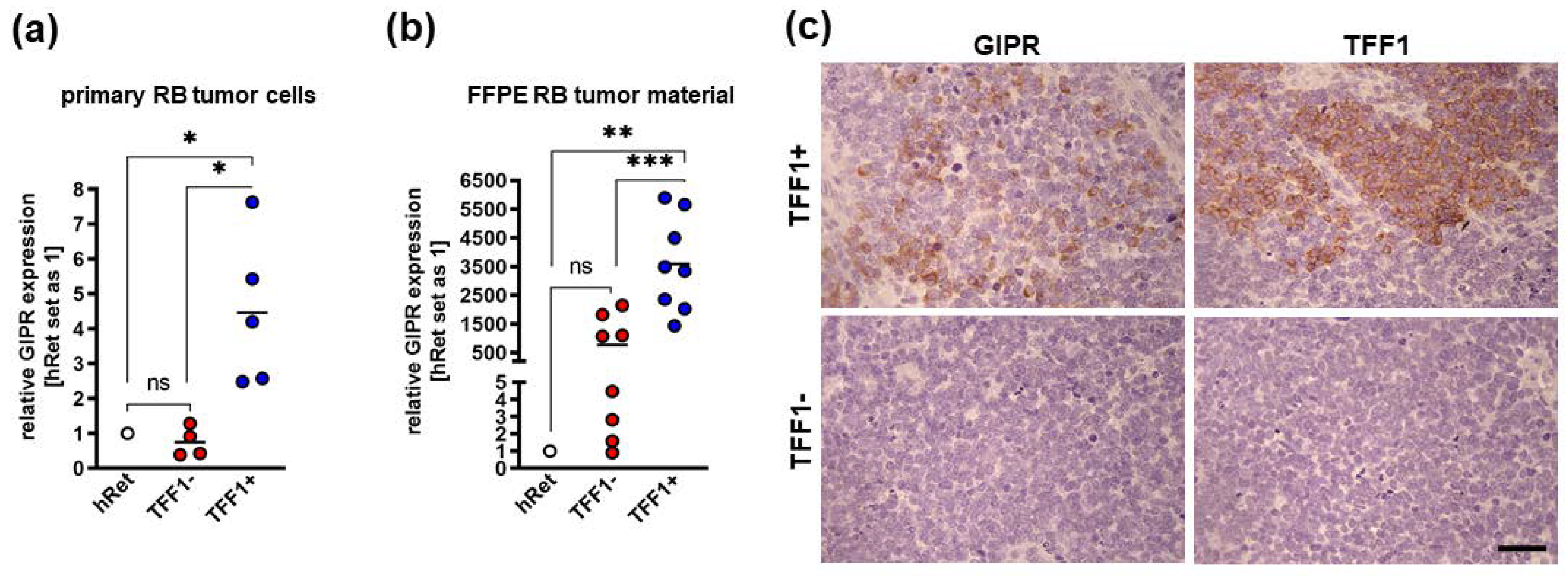 Preprints 102047 g003