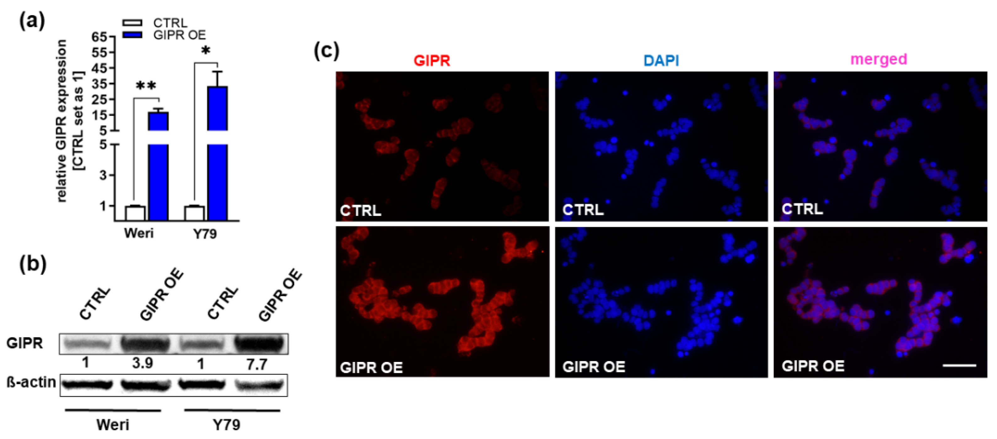 Preprints 102047 g004