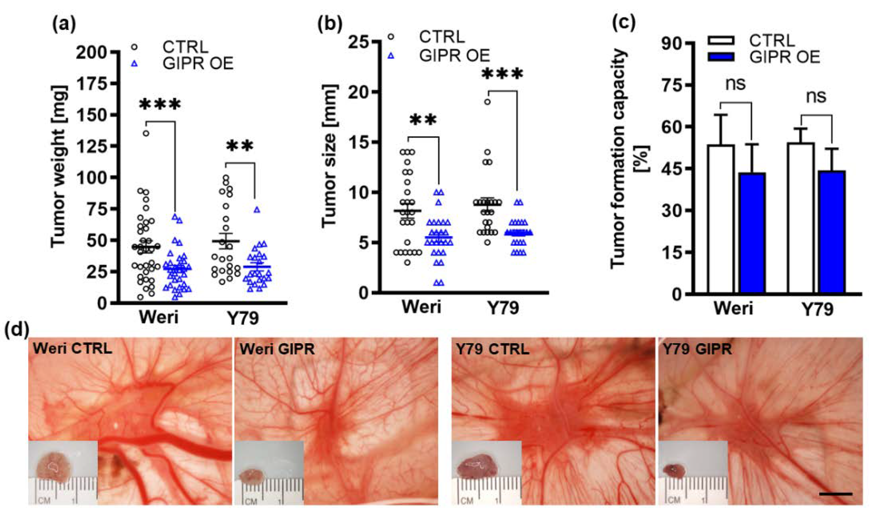 Preprints 102047 g006