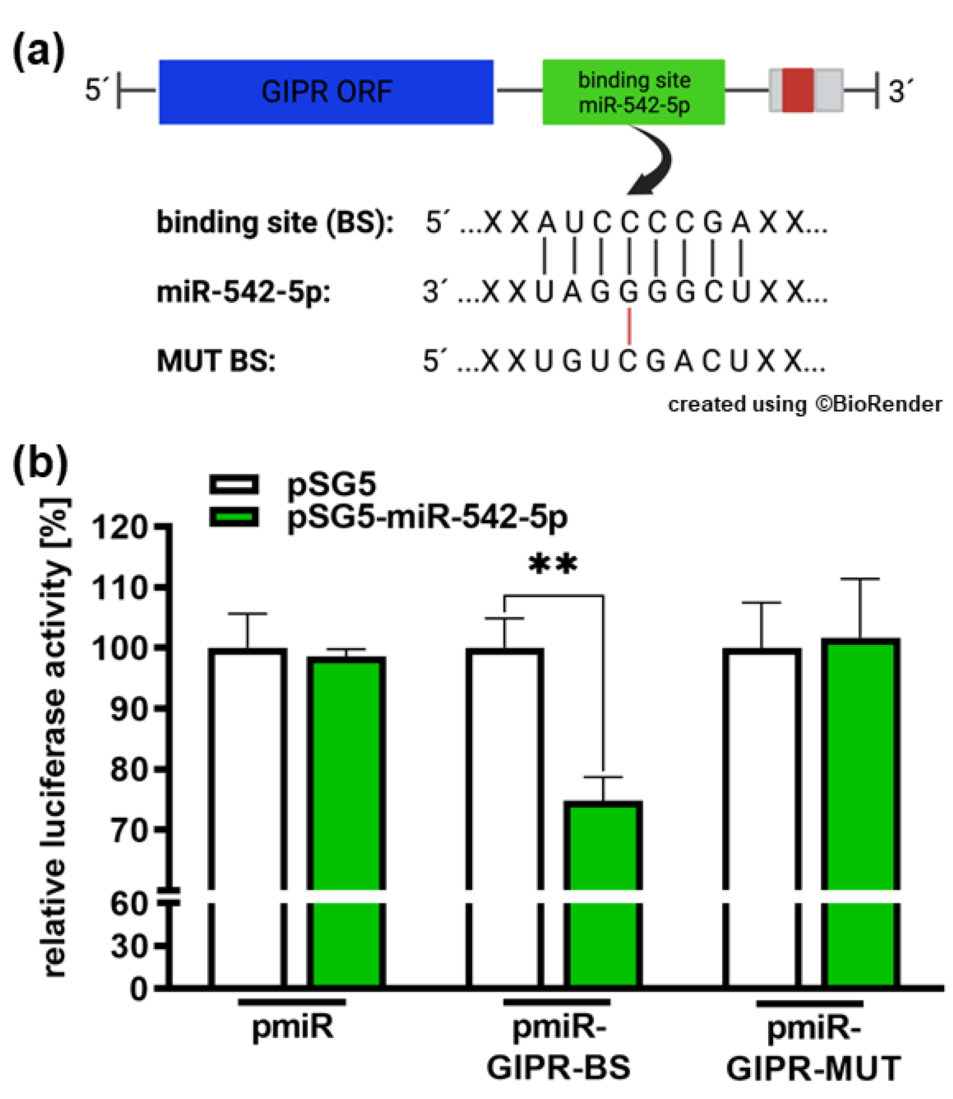 Preprints 102047 g009