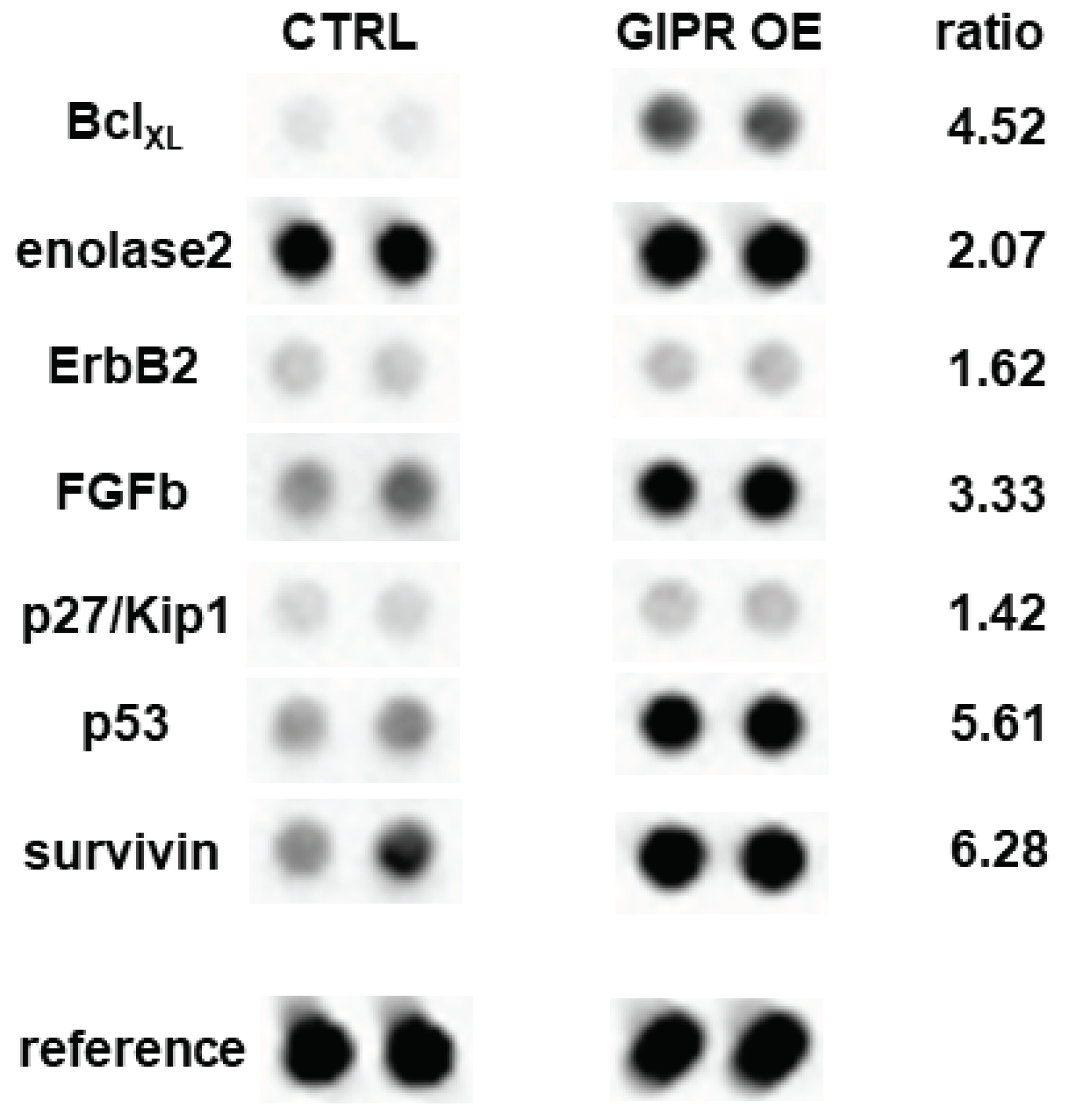 Preprints 102047 g010