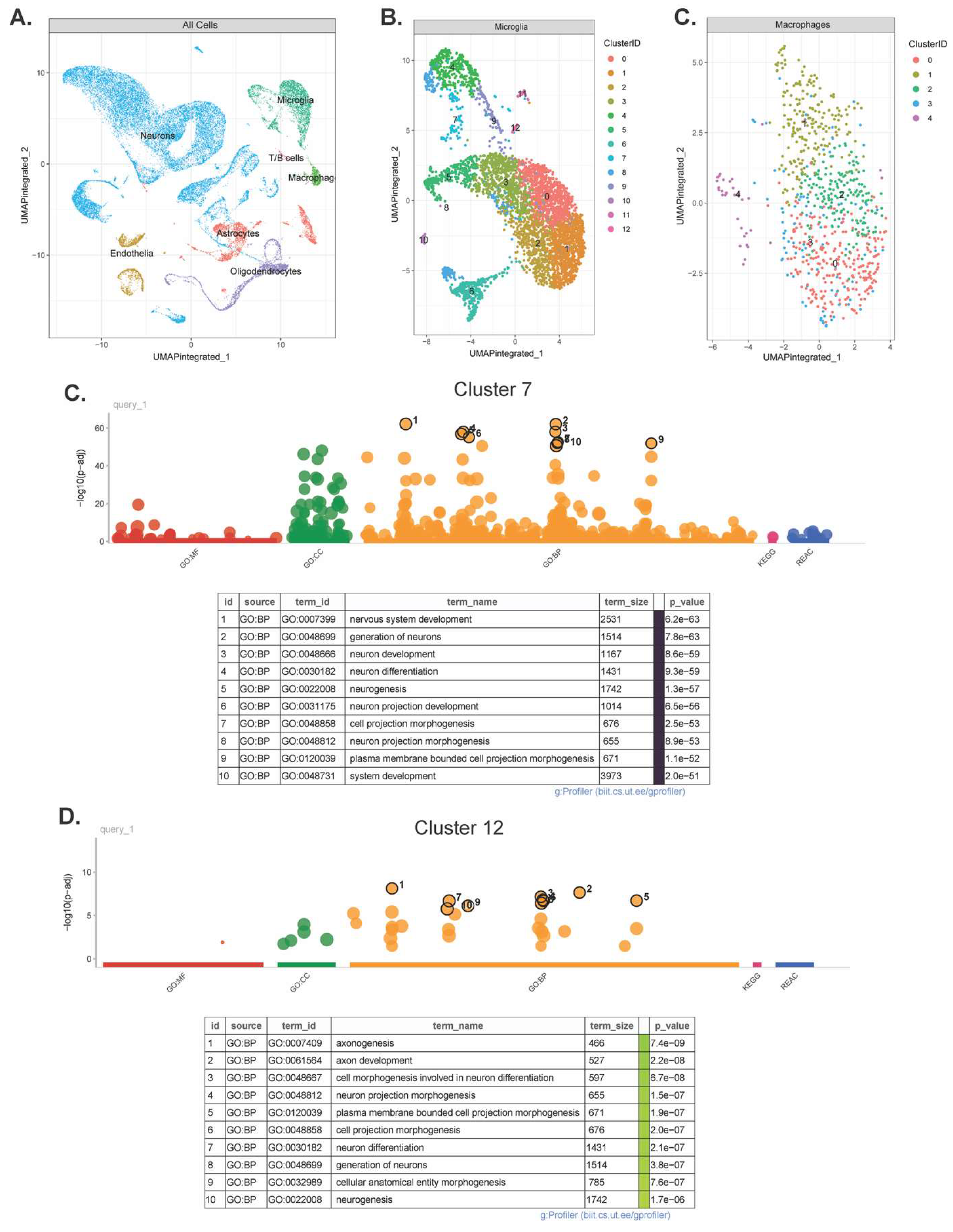 Preprints 113711 g005