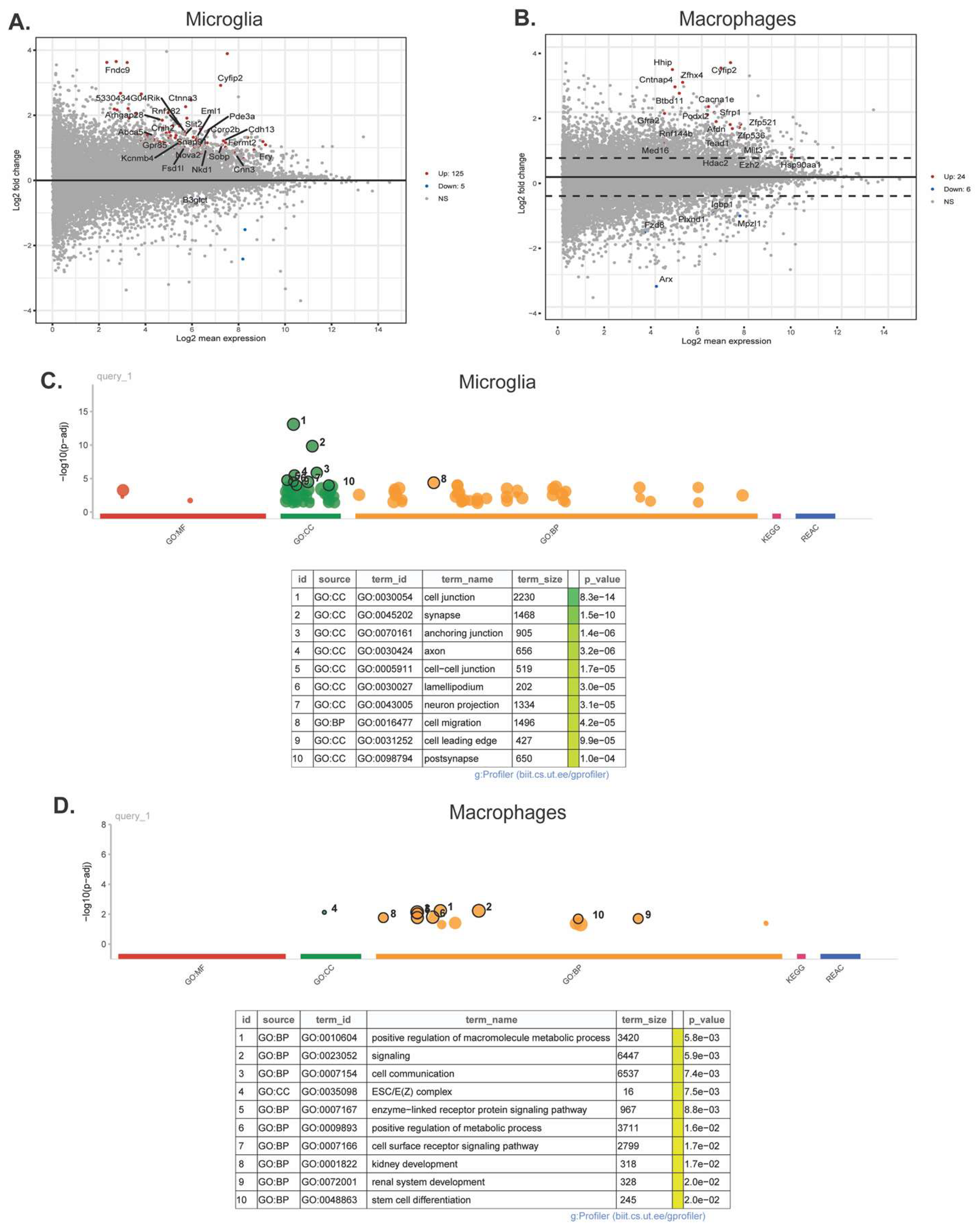 Preprints 113711 g006