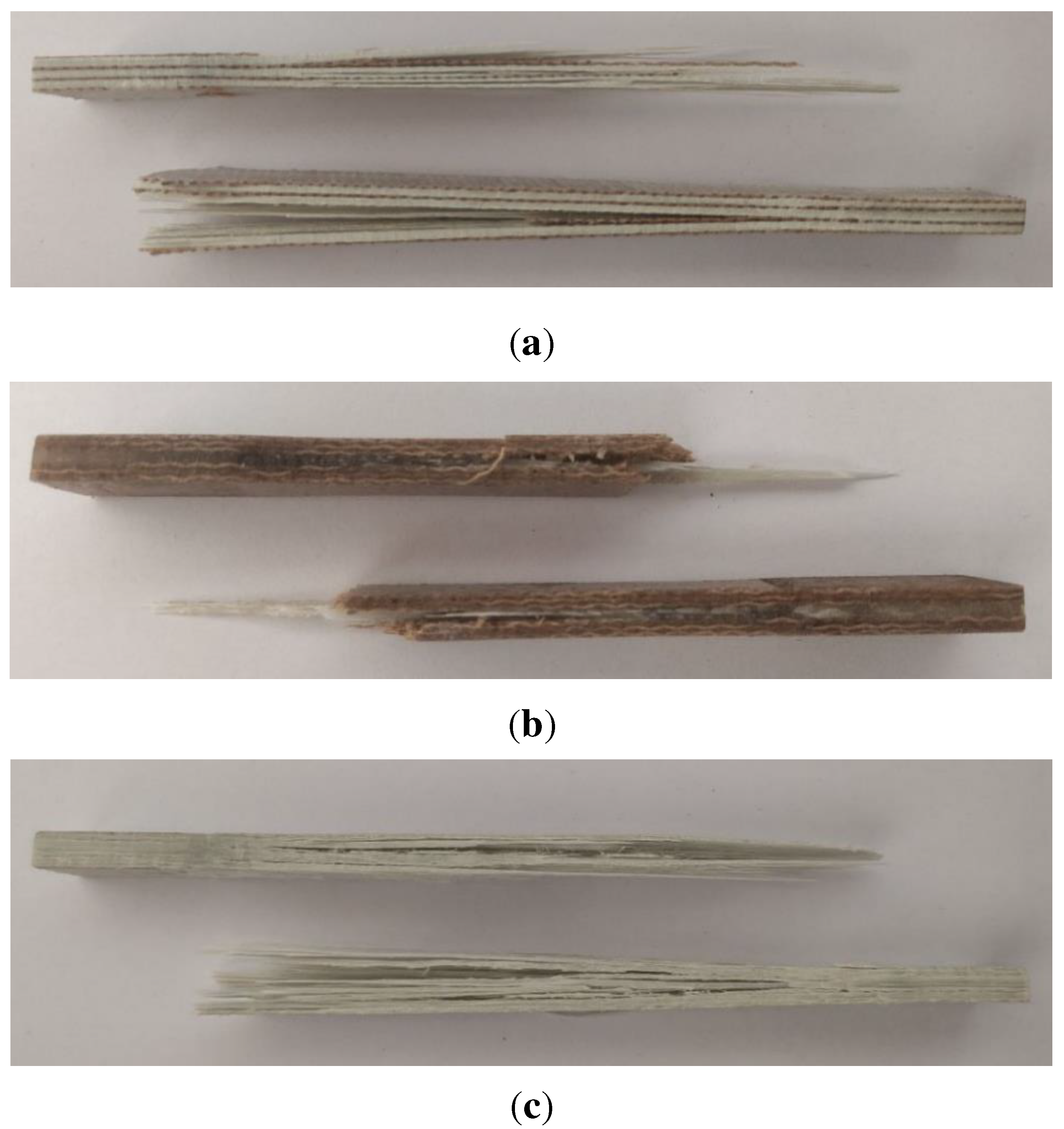 Preprints 90990 g014