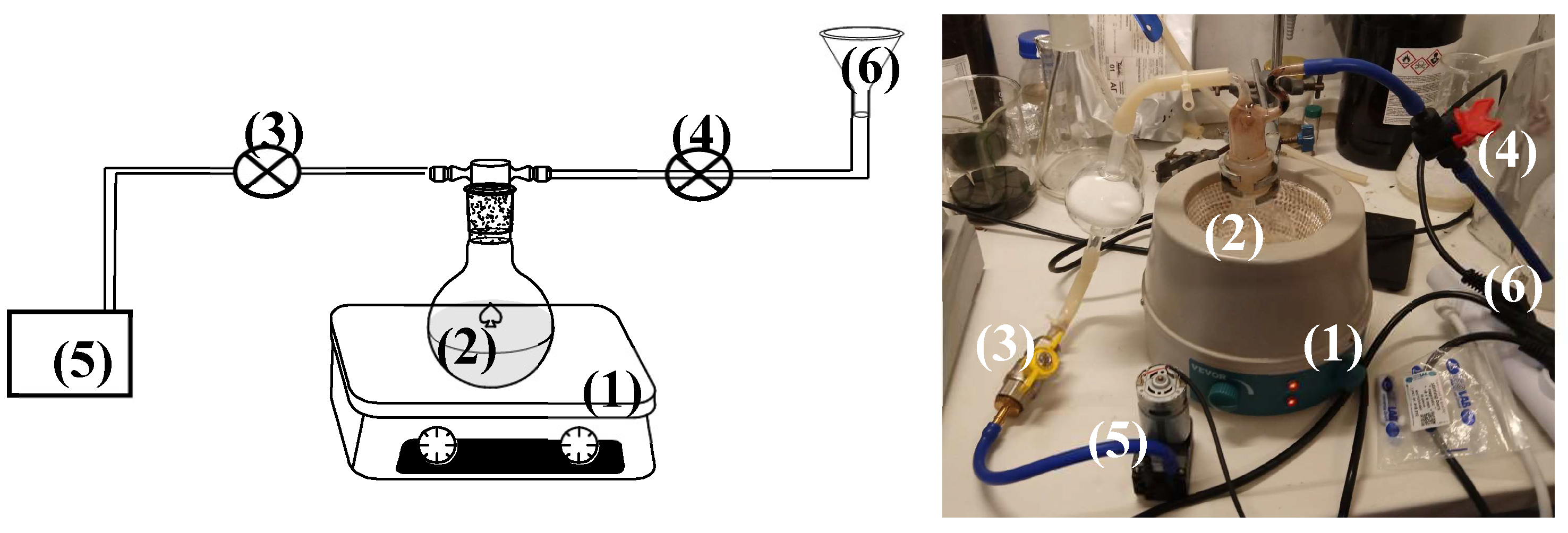 Preprints 138576 g001a