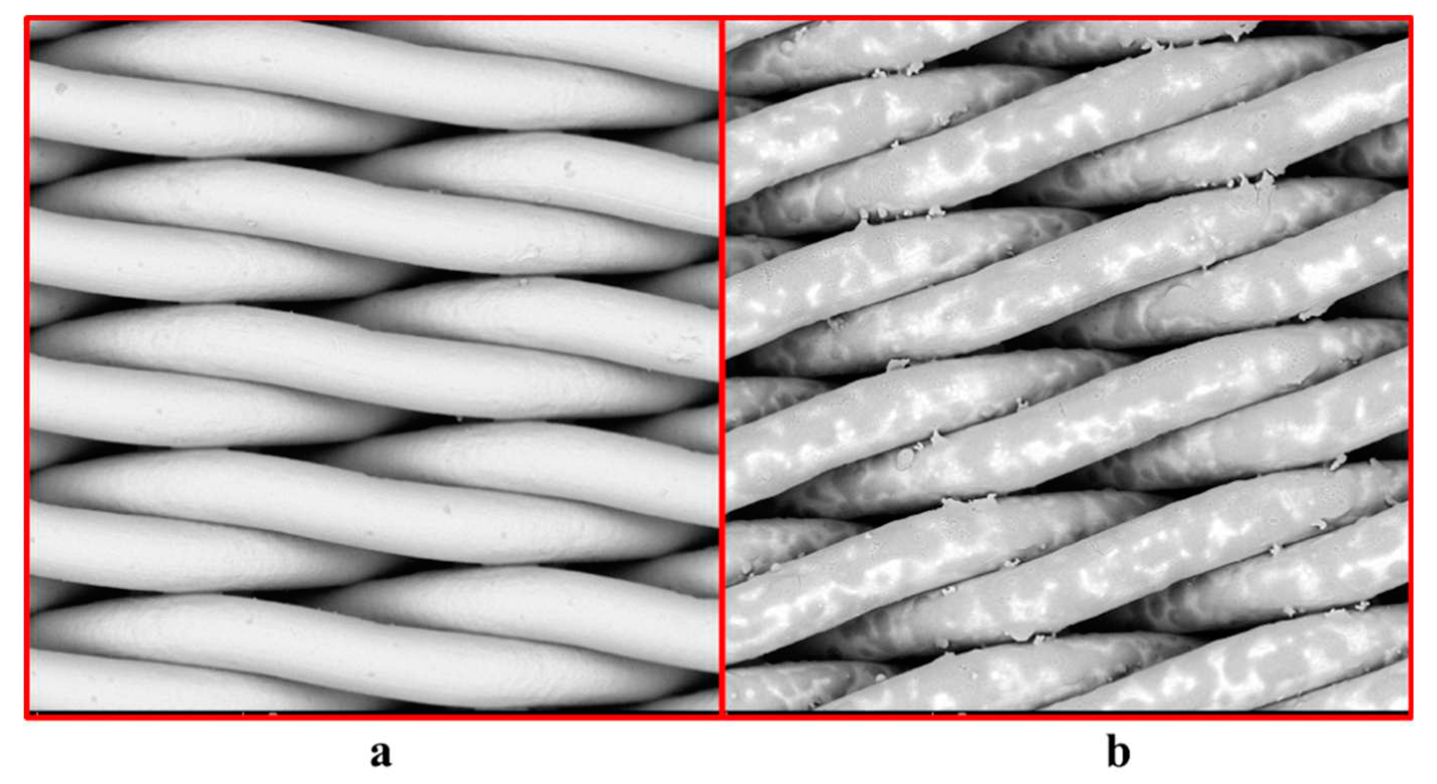 Preprints 87778 g001