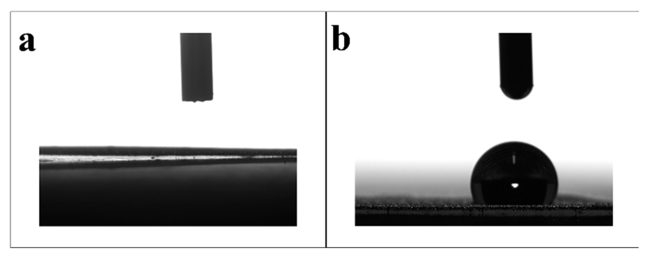 Preprints 87778 g004