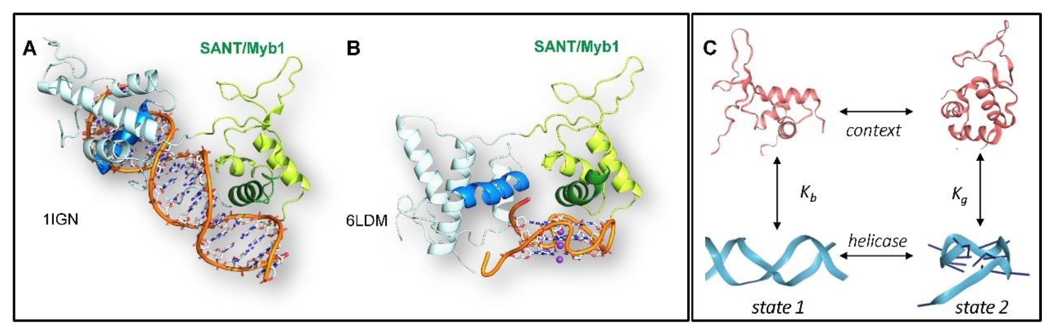 Preprints 118621 g002