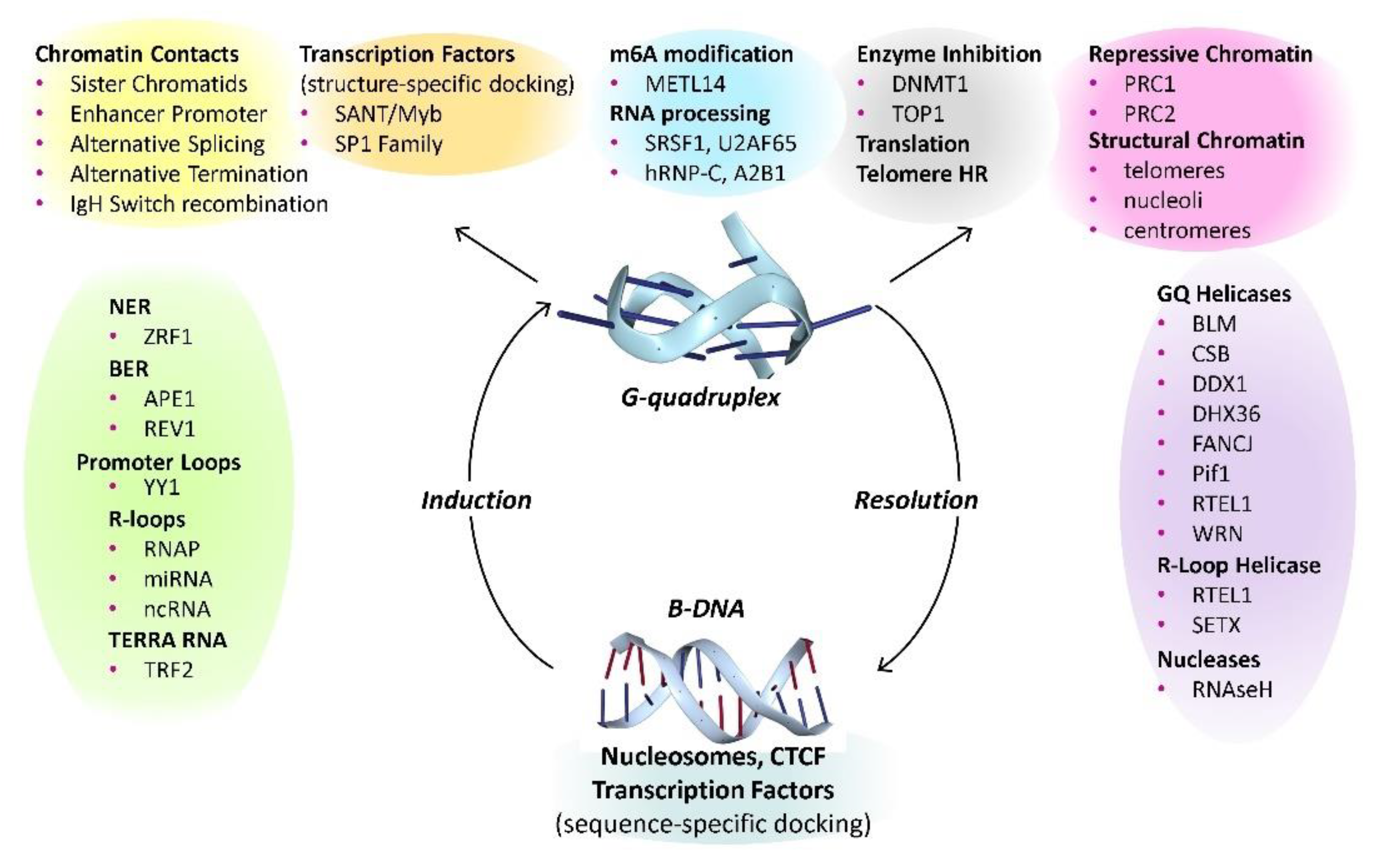 Preprints 118621 g003