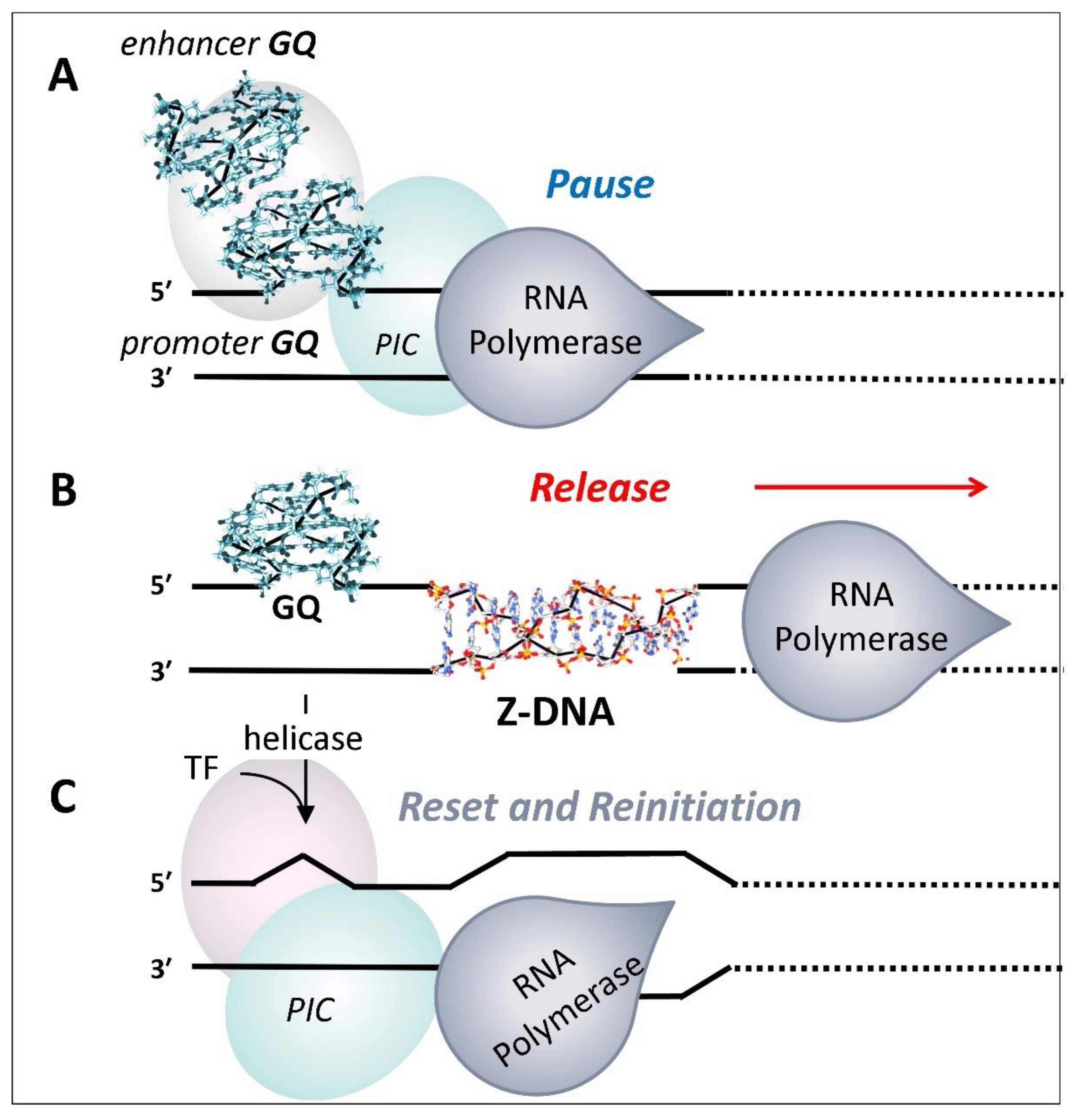 Preprints 118621 g005