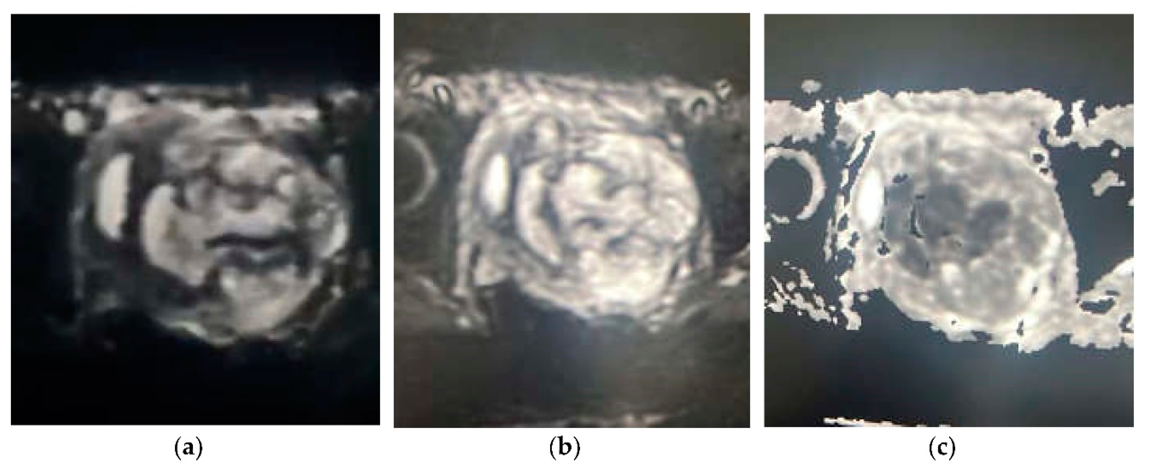 Preprints 74186 g003