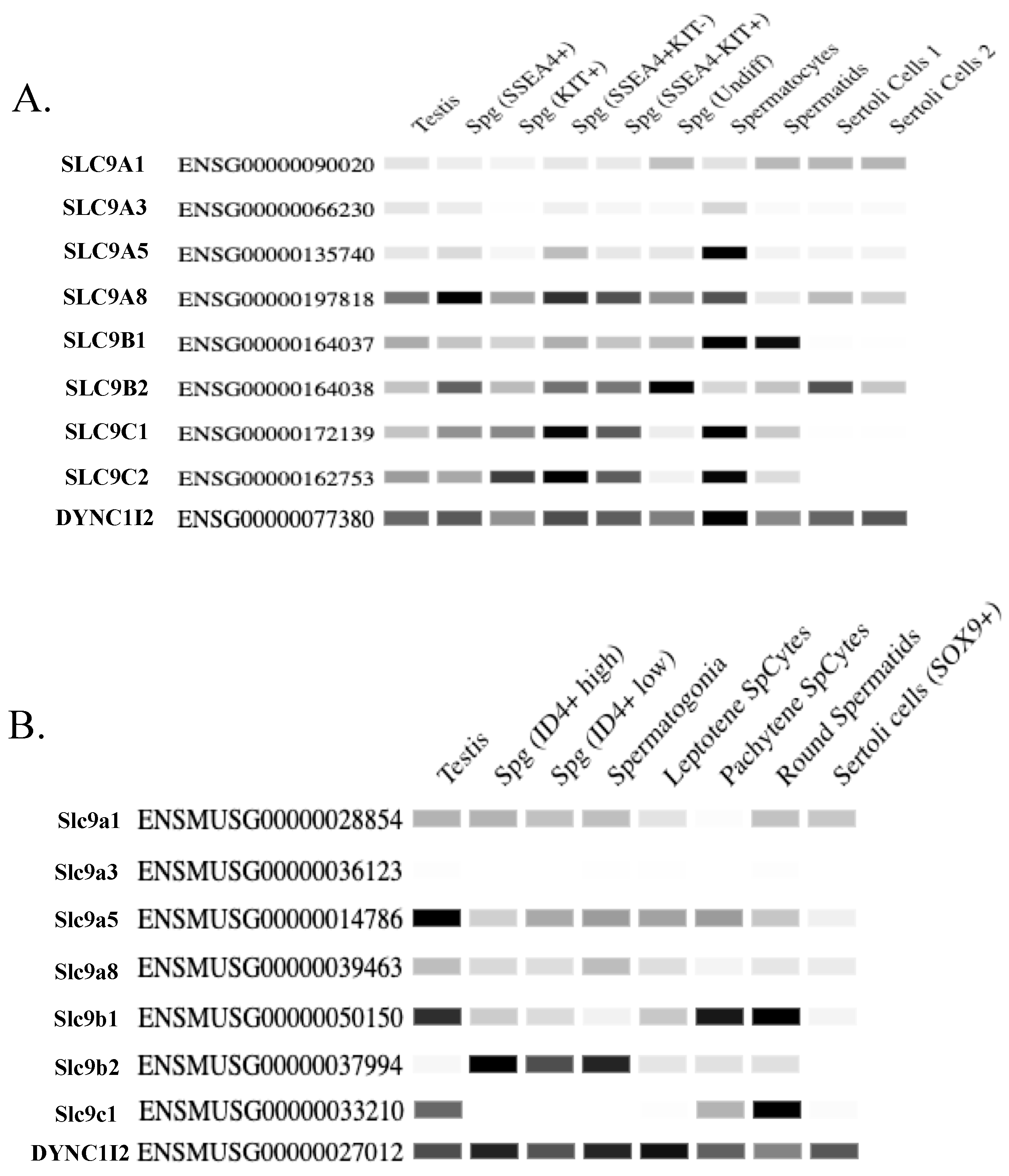 Preprints 84360 g003