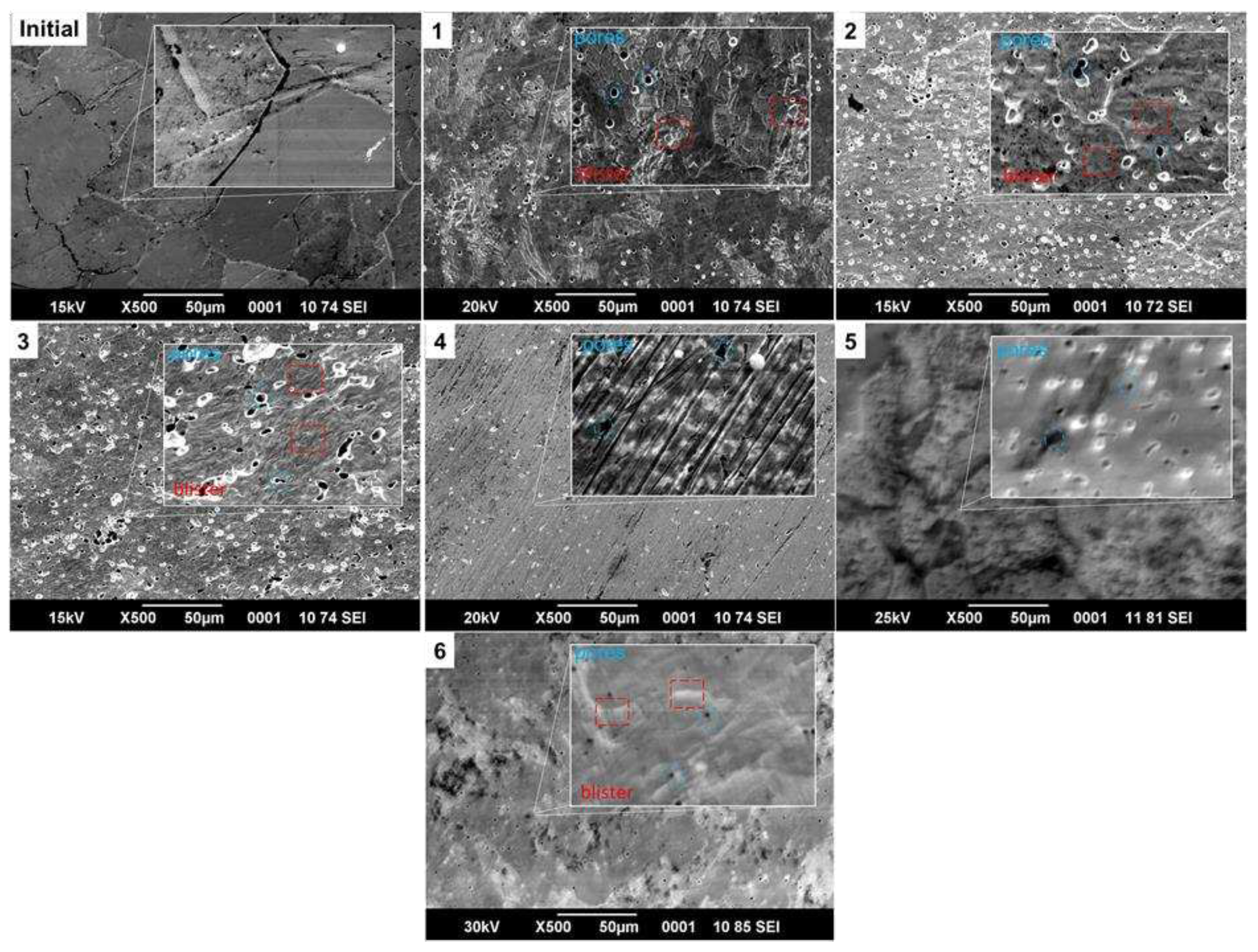 Preprints 90763 g002