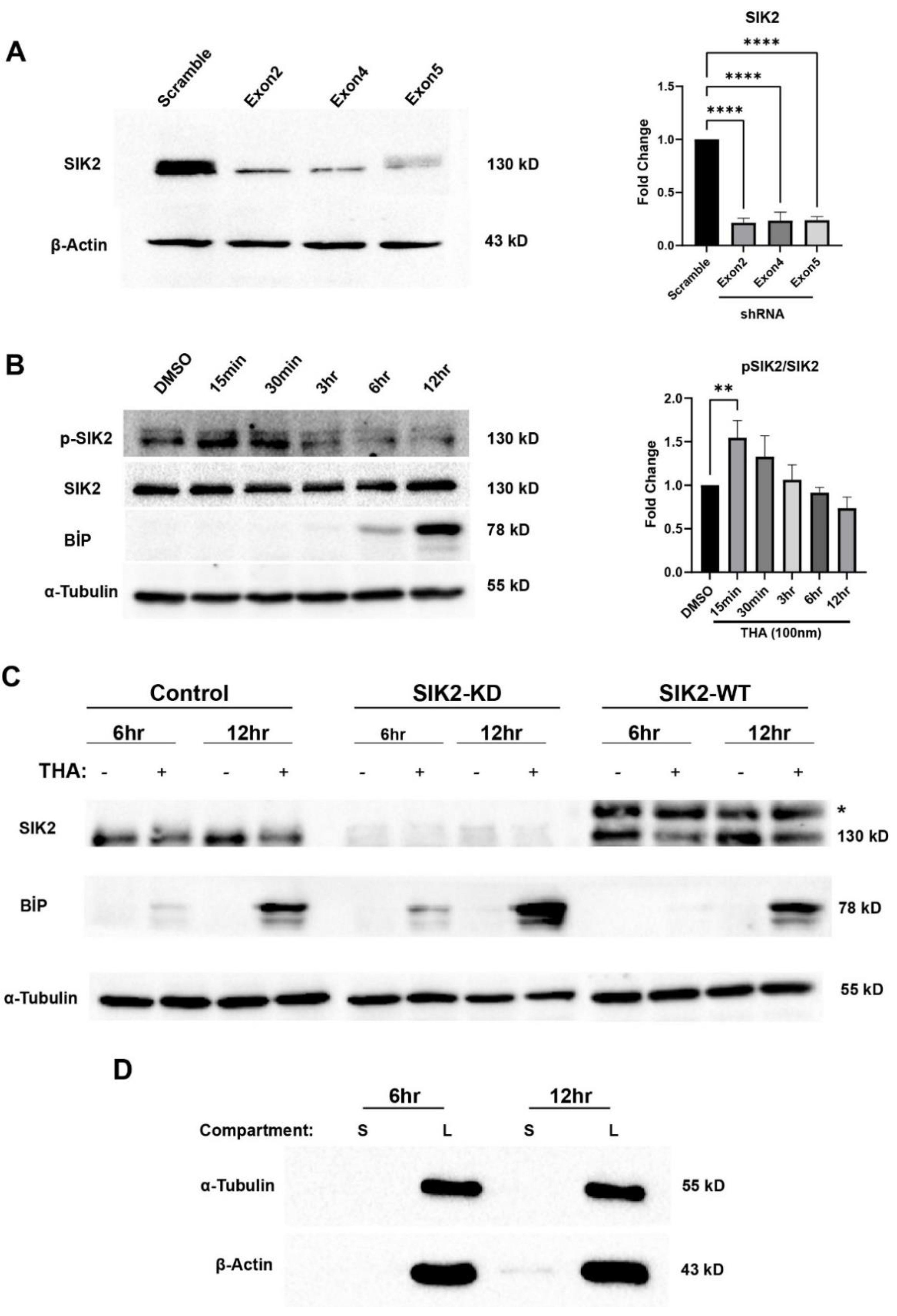 Preprints 114606 g001