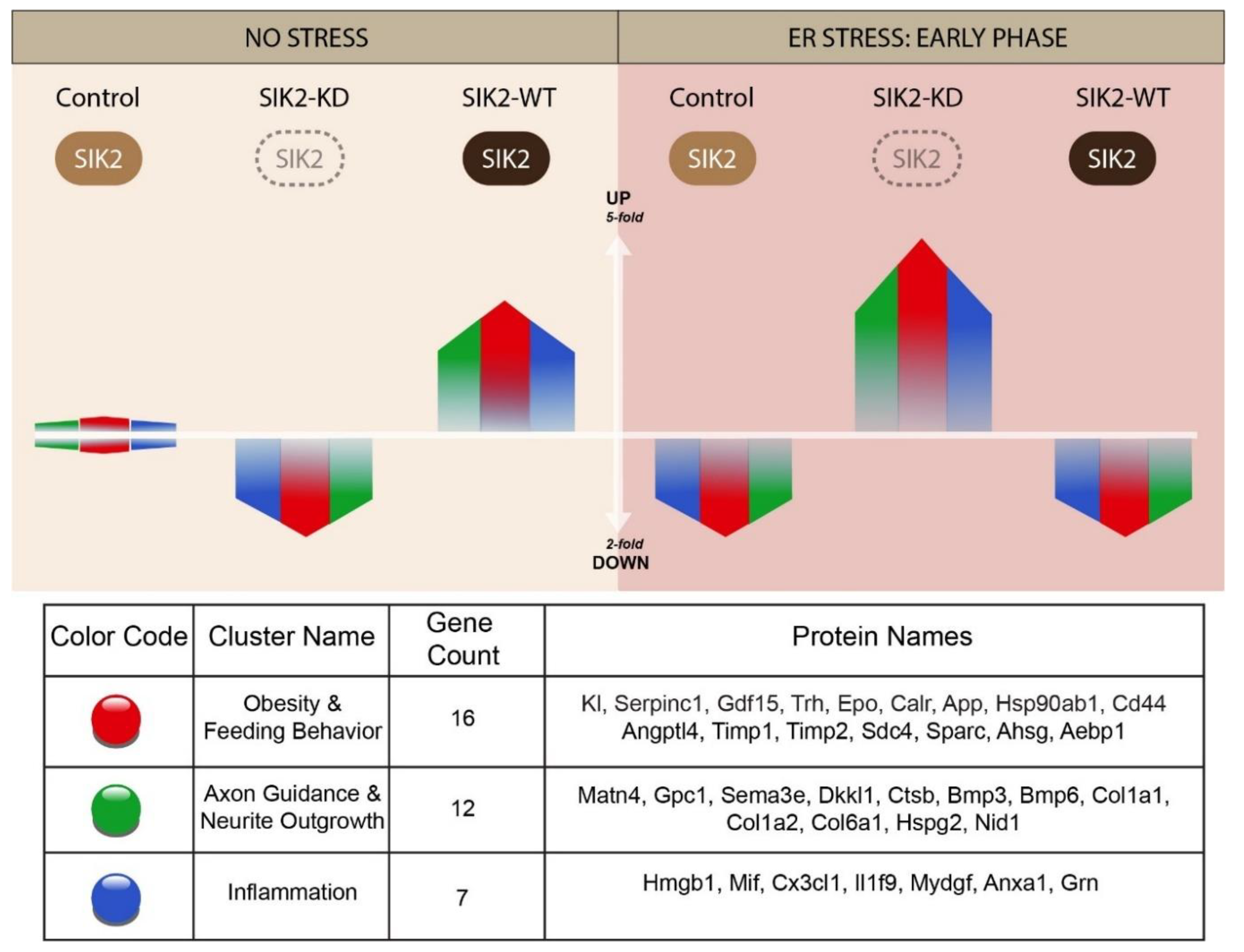 Preprints 114606 g006