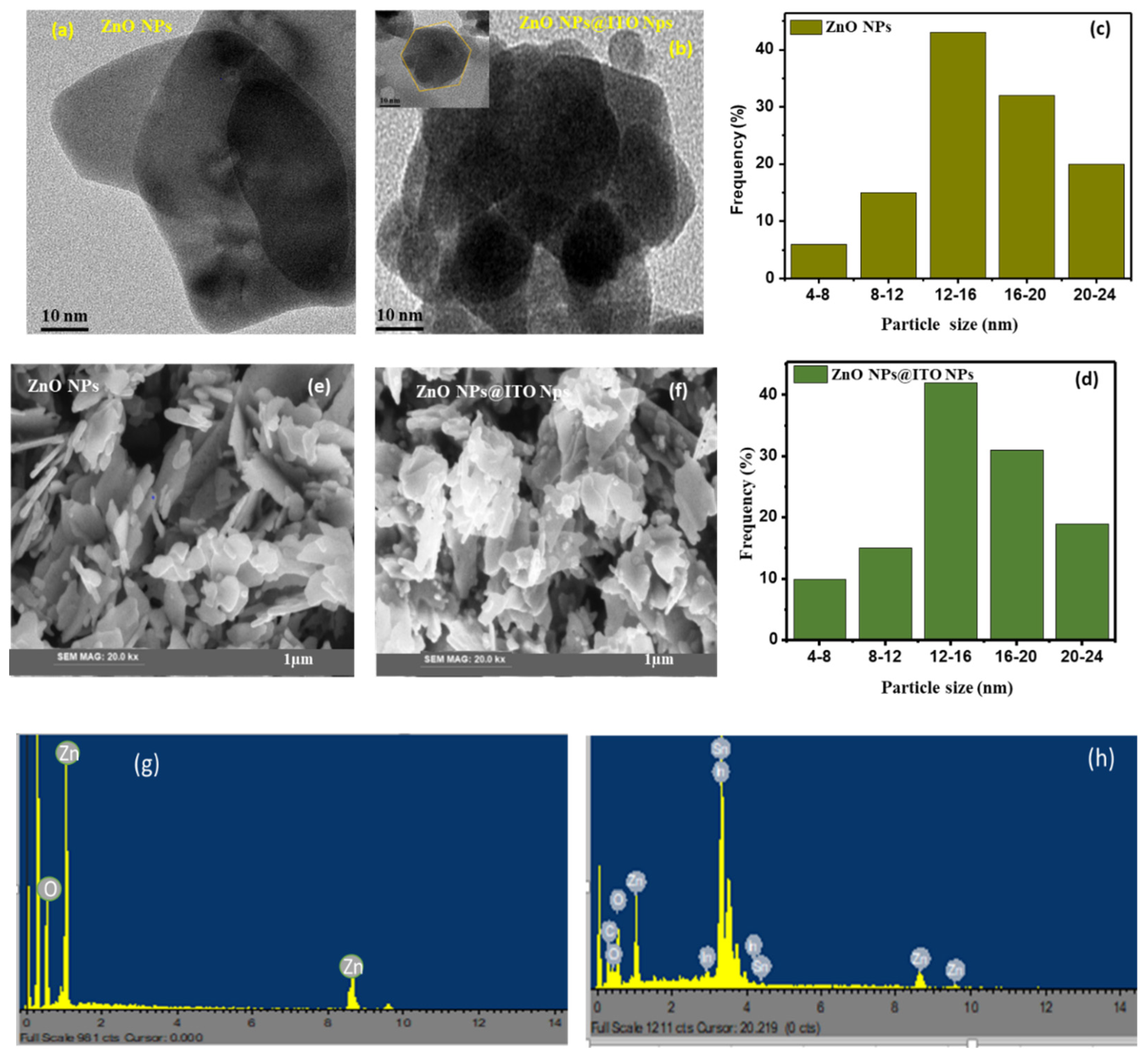 Preprints 107440 g001