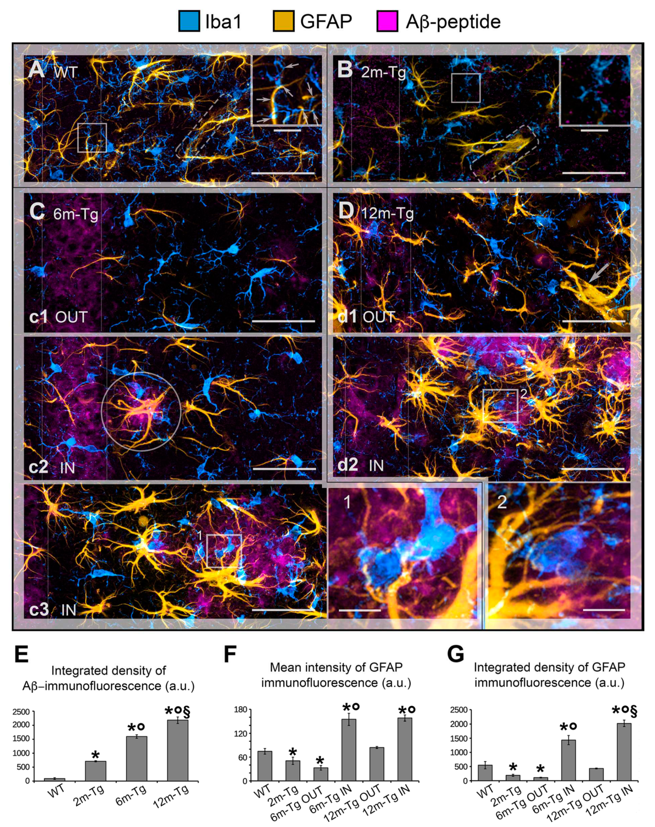 Preprints 82594 g001