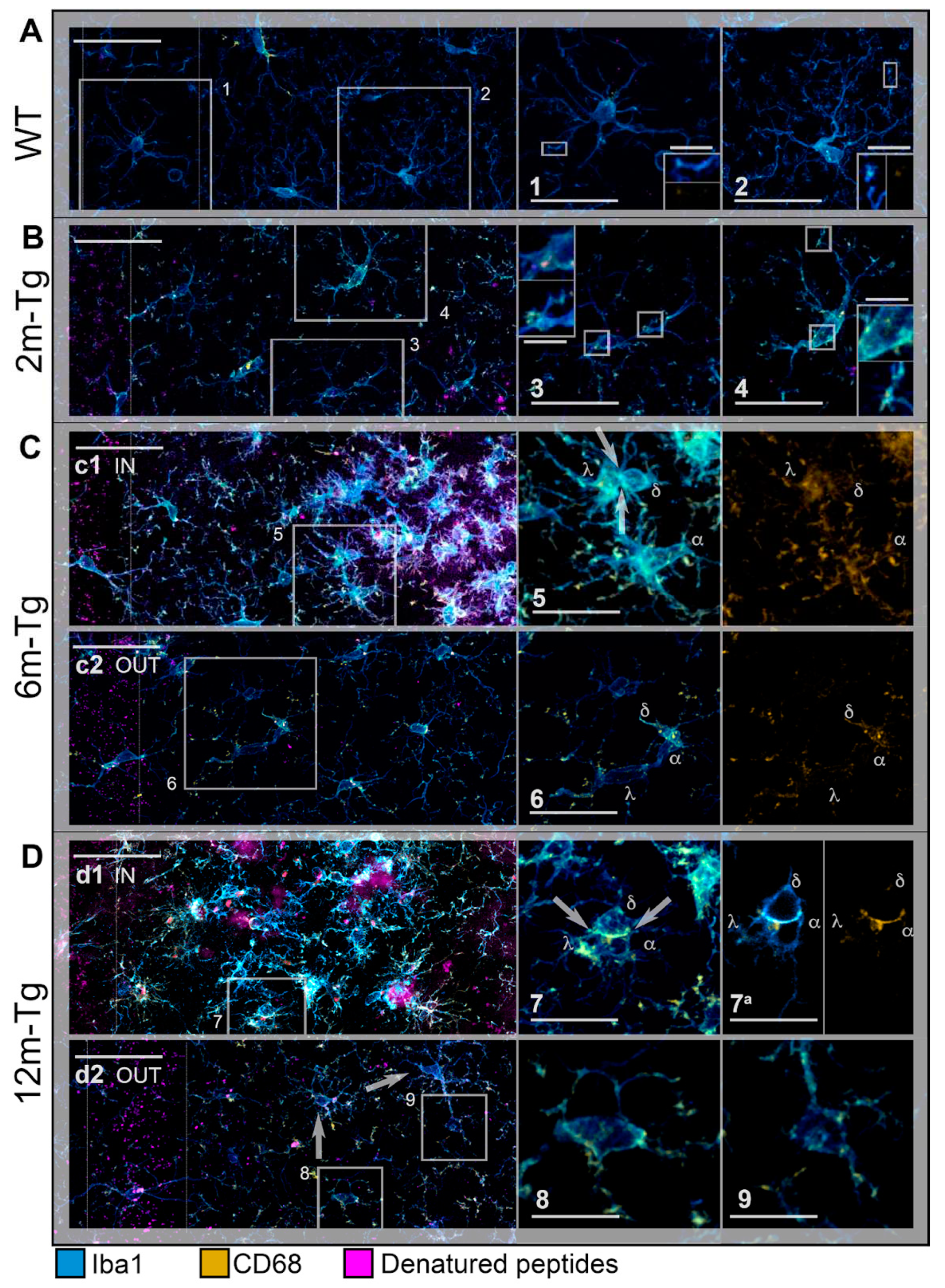 Preprints 82594 g002