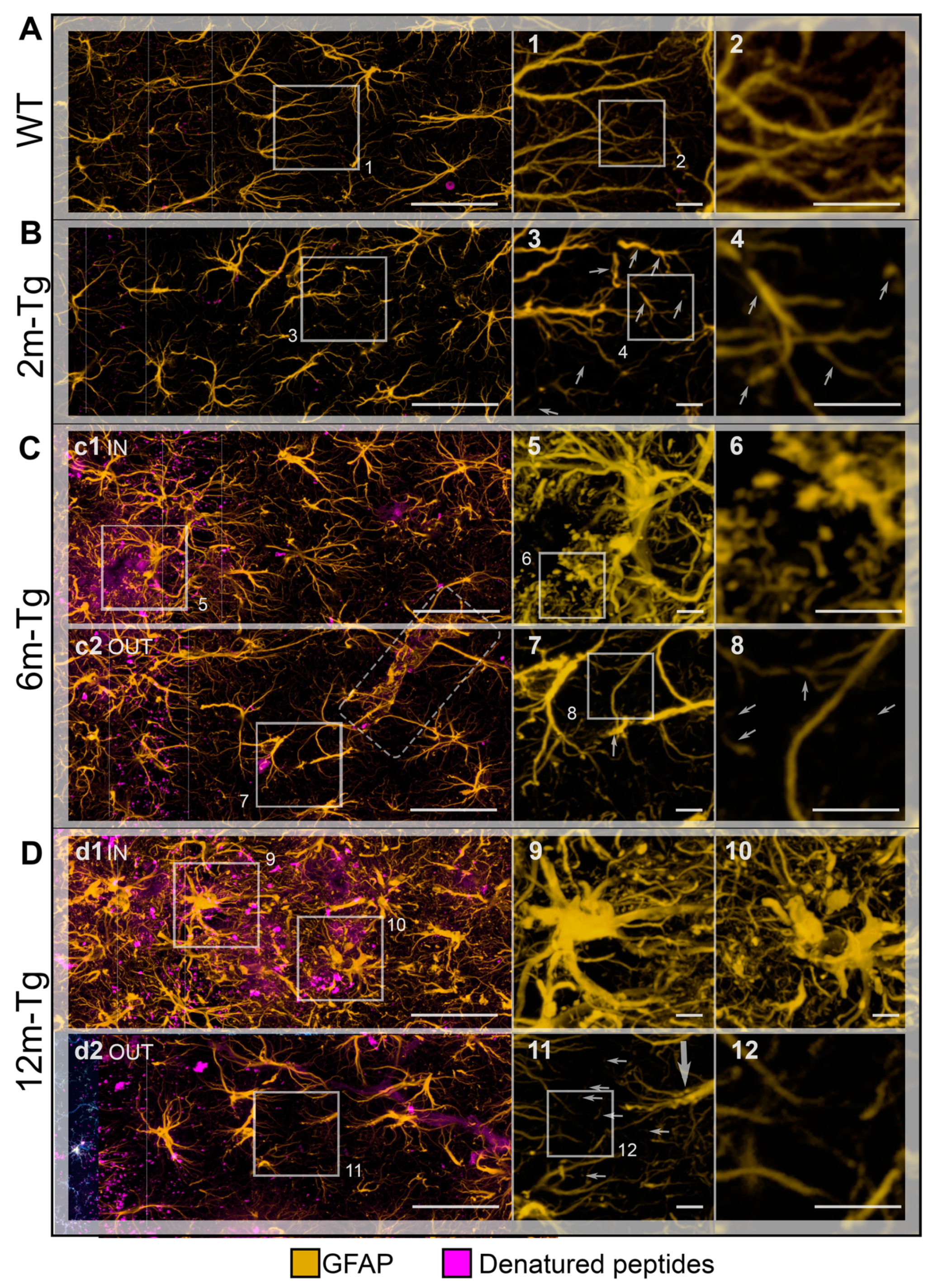 Preprints 82594 g004