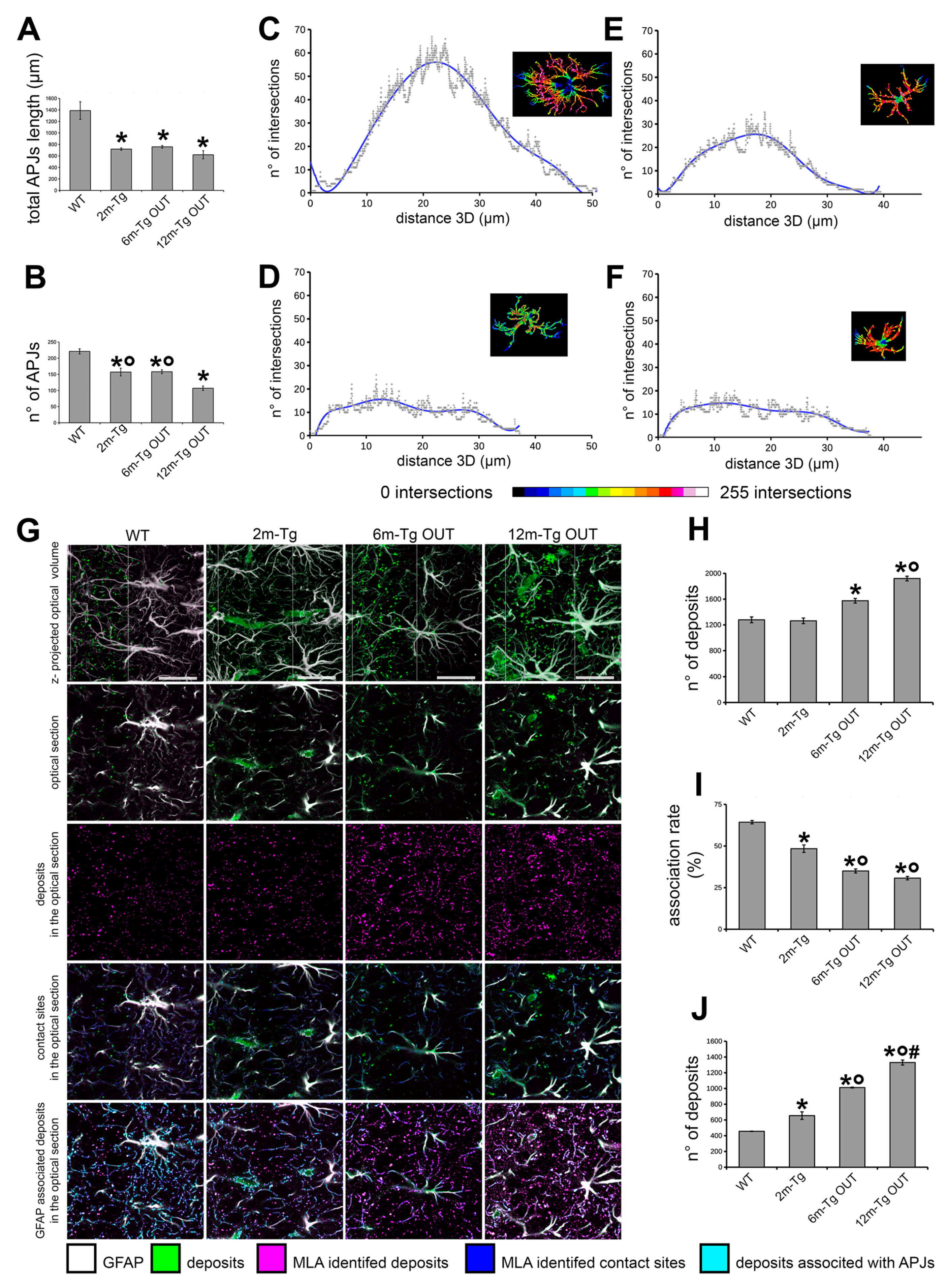 Preprints 82594 g005