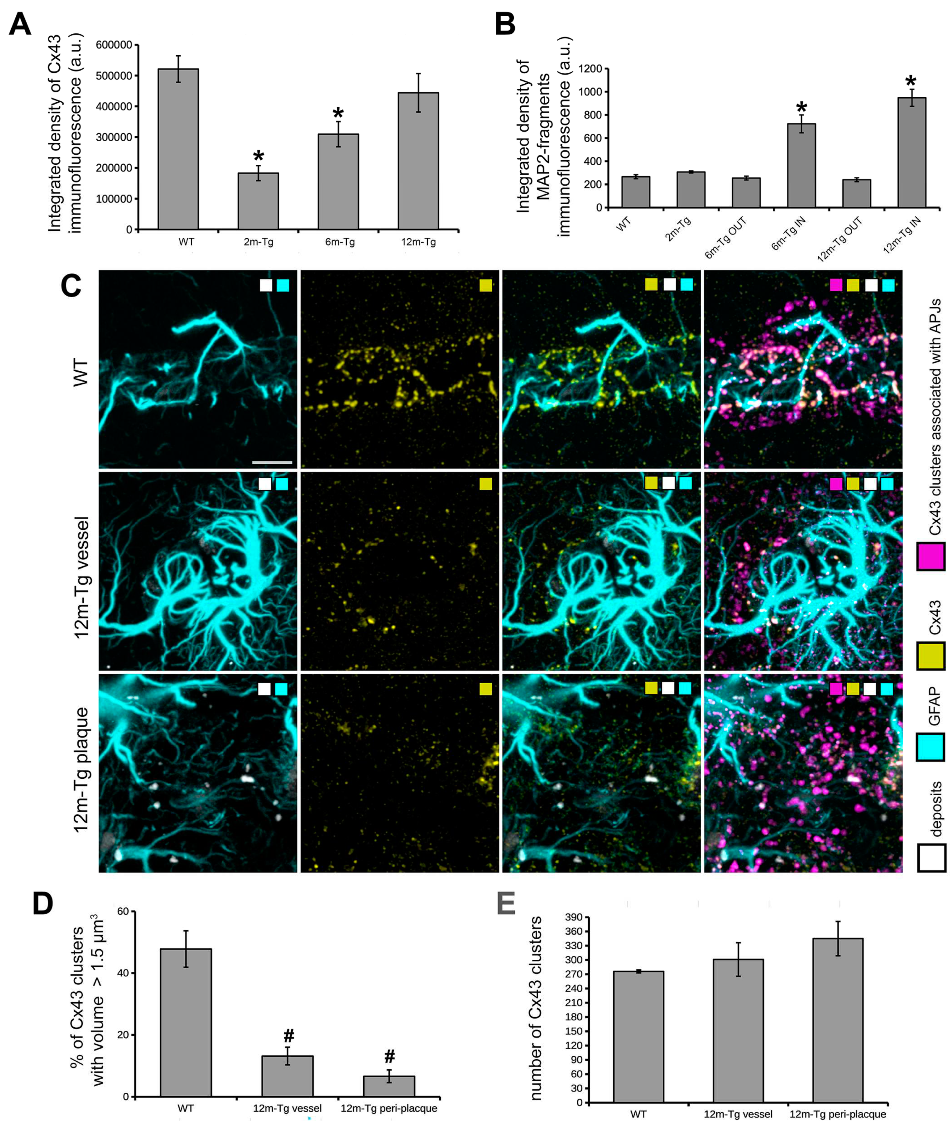 Preprints 82594 g006