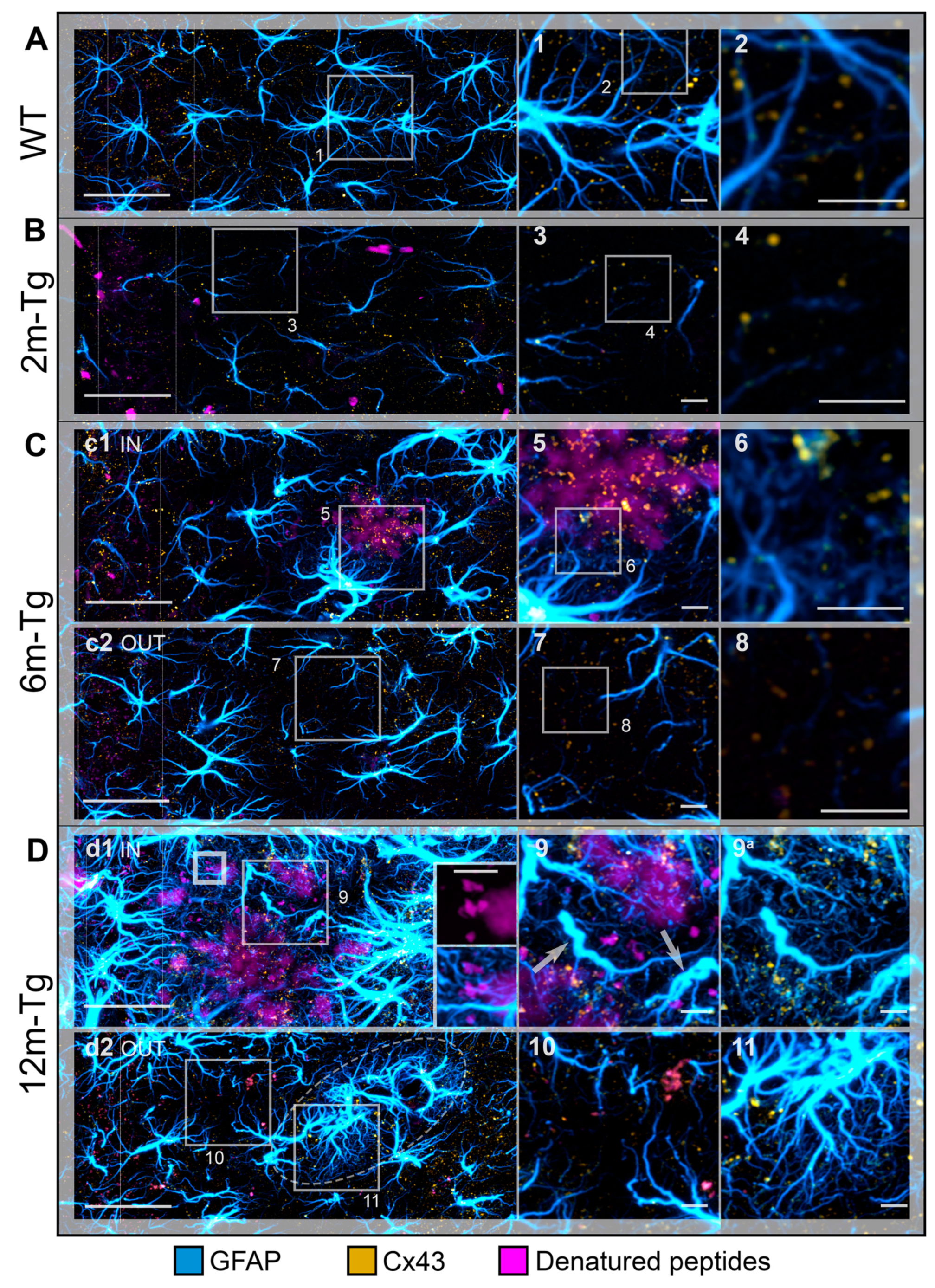 Preprints 82594 g007