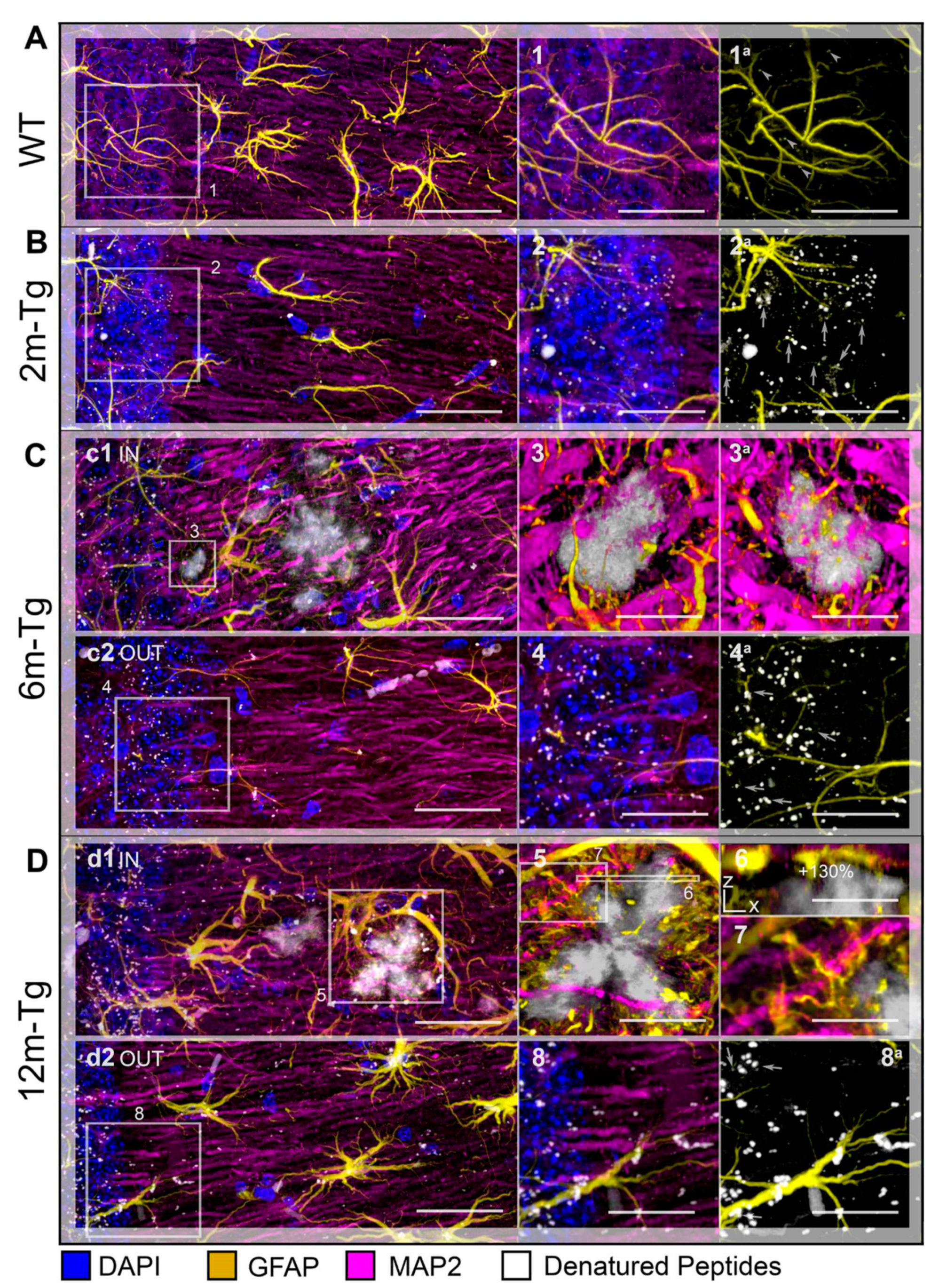 Preprints 82594 g008