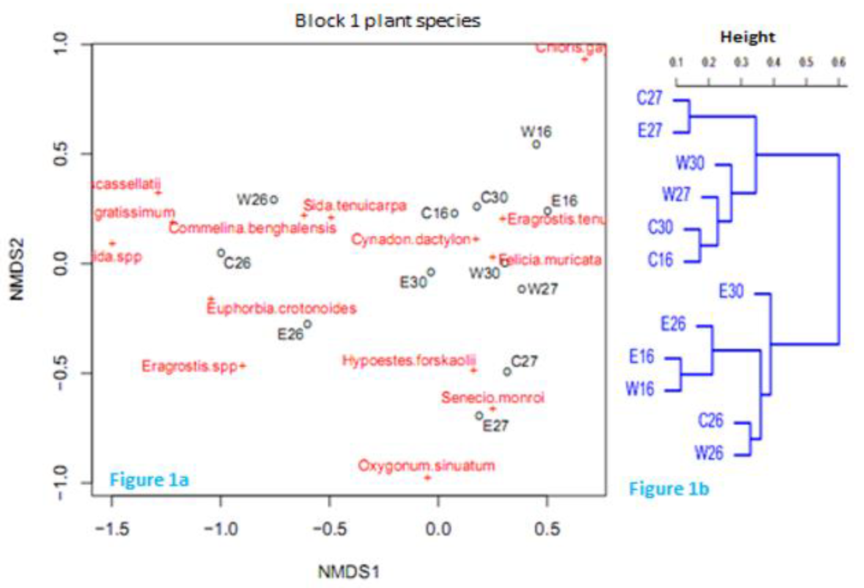 Preprints 80501 g001